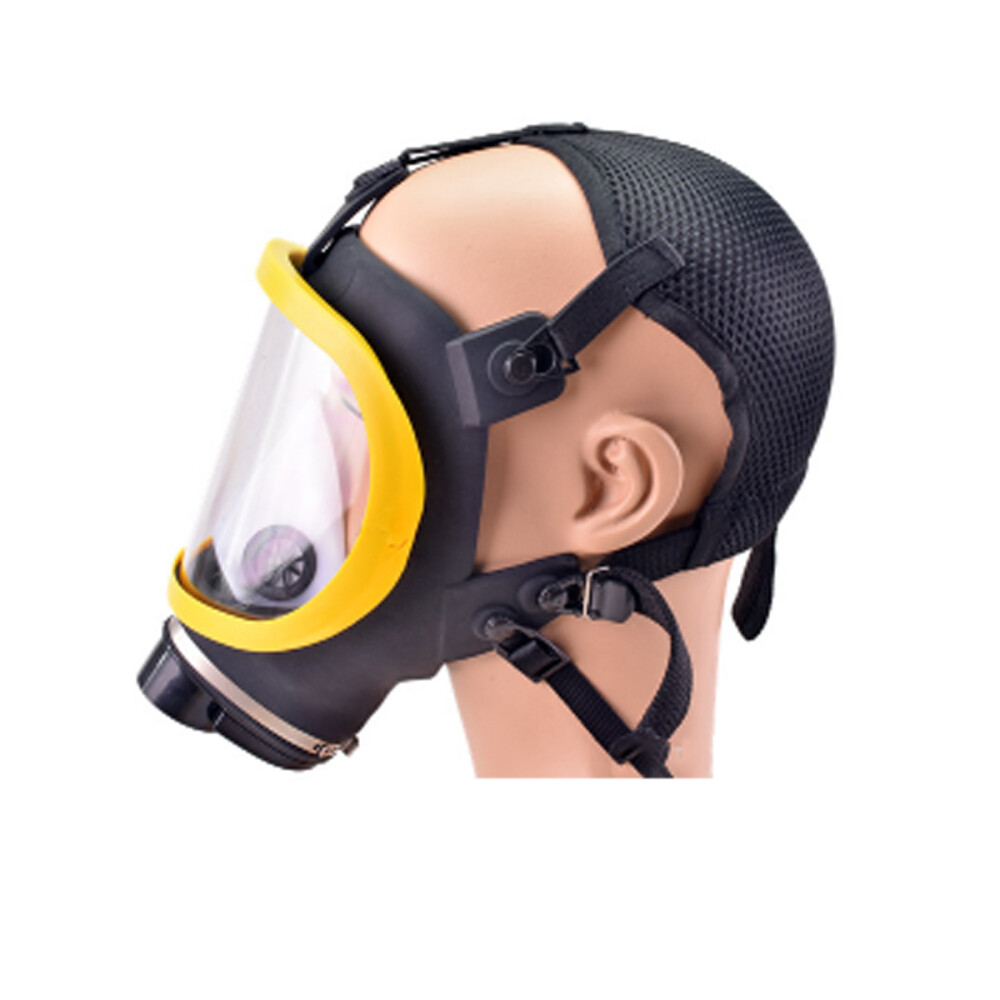 Electric Full Face Gas Mask Constant Flow Respirator Supplied Air Fed System