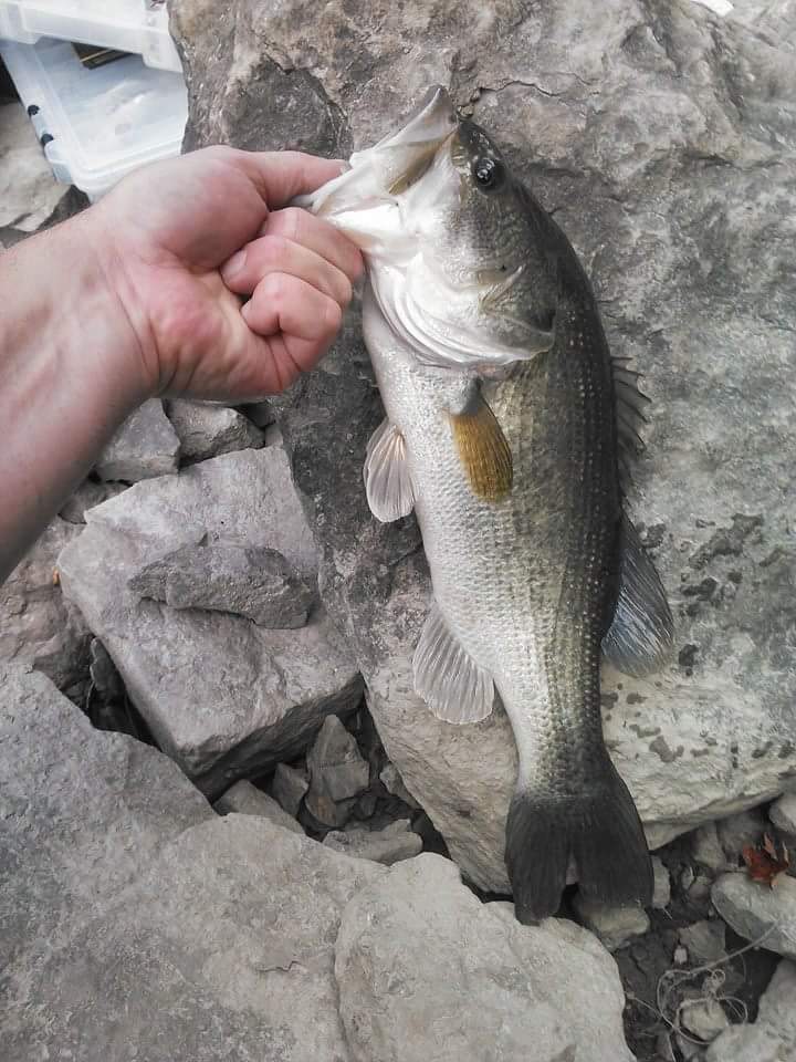 Micro Mini Rolling Barrel Swivels Extra Small #8 #10 #12 #14 Black 40pcs