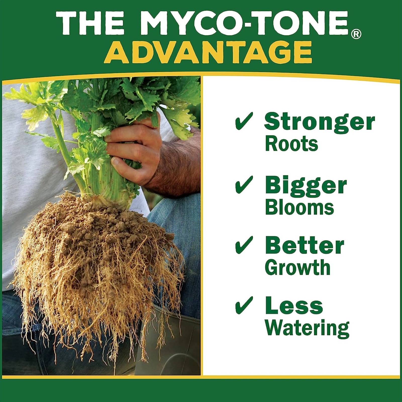 Espoma Organic Seed Starter Premium Potting Soil, All Natural, 16qt