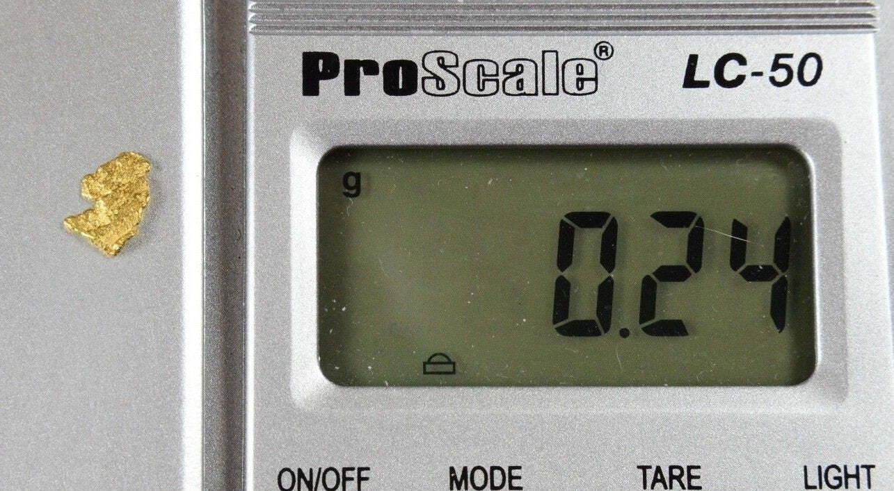 Alaskan-Yukon BC Gold Rush Natural Gold Nugget 0.24 Grams Genuine