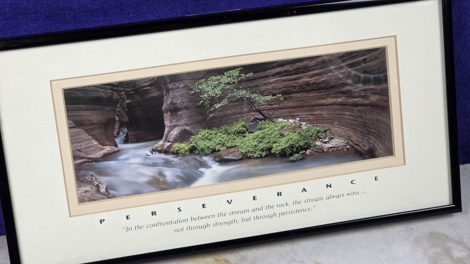 "PERSEVERANCE" Professional Framed Artwork - DECOR