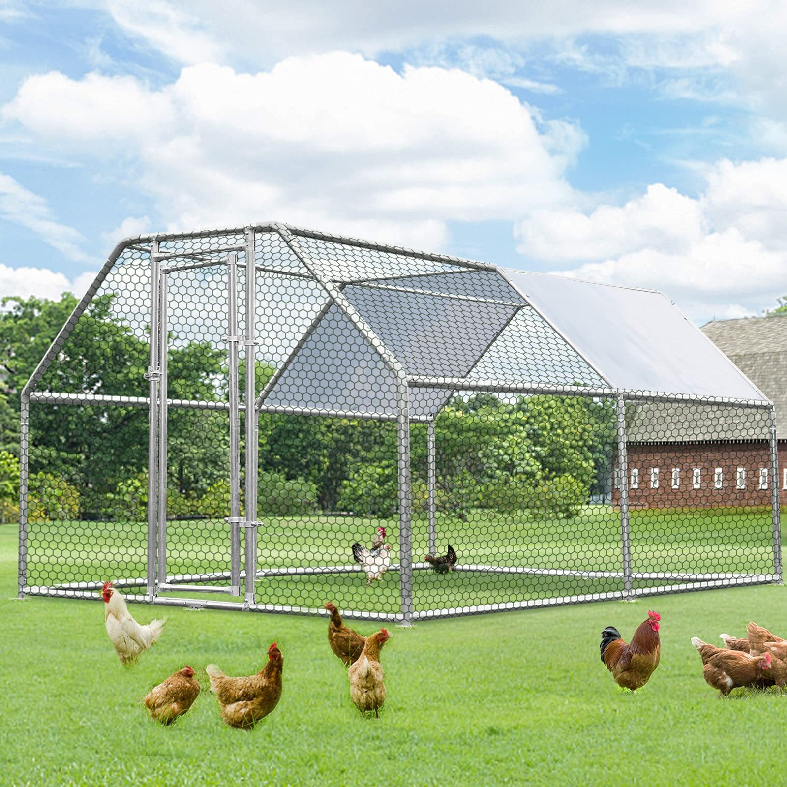 Large Metal Chicken Coop Walk-in Poultry Cage Hen House Flat Roof w/Cover Yard