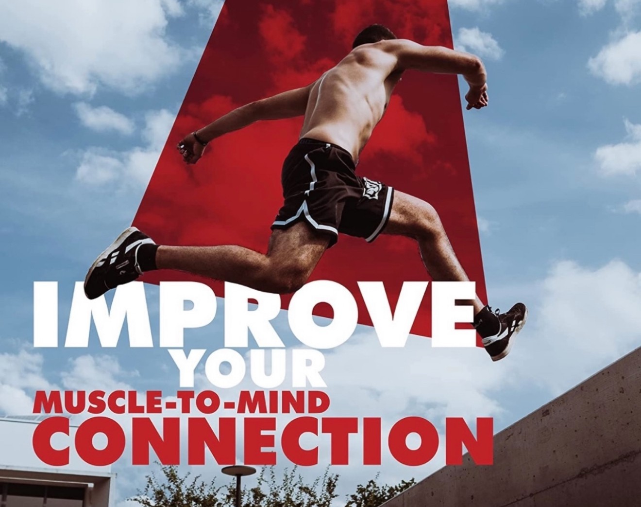 BioGlyco Flow Blood Optimizer, BioGlyco Flow Supplement (60 Capsules)