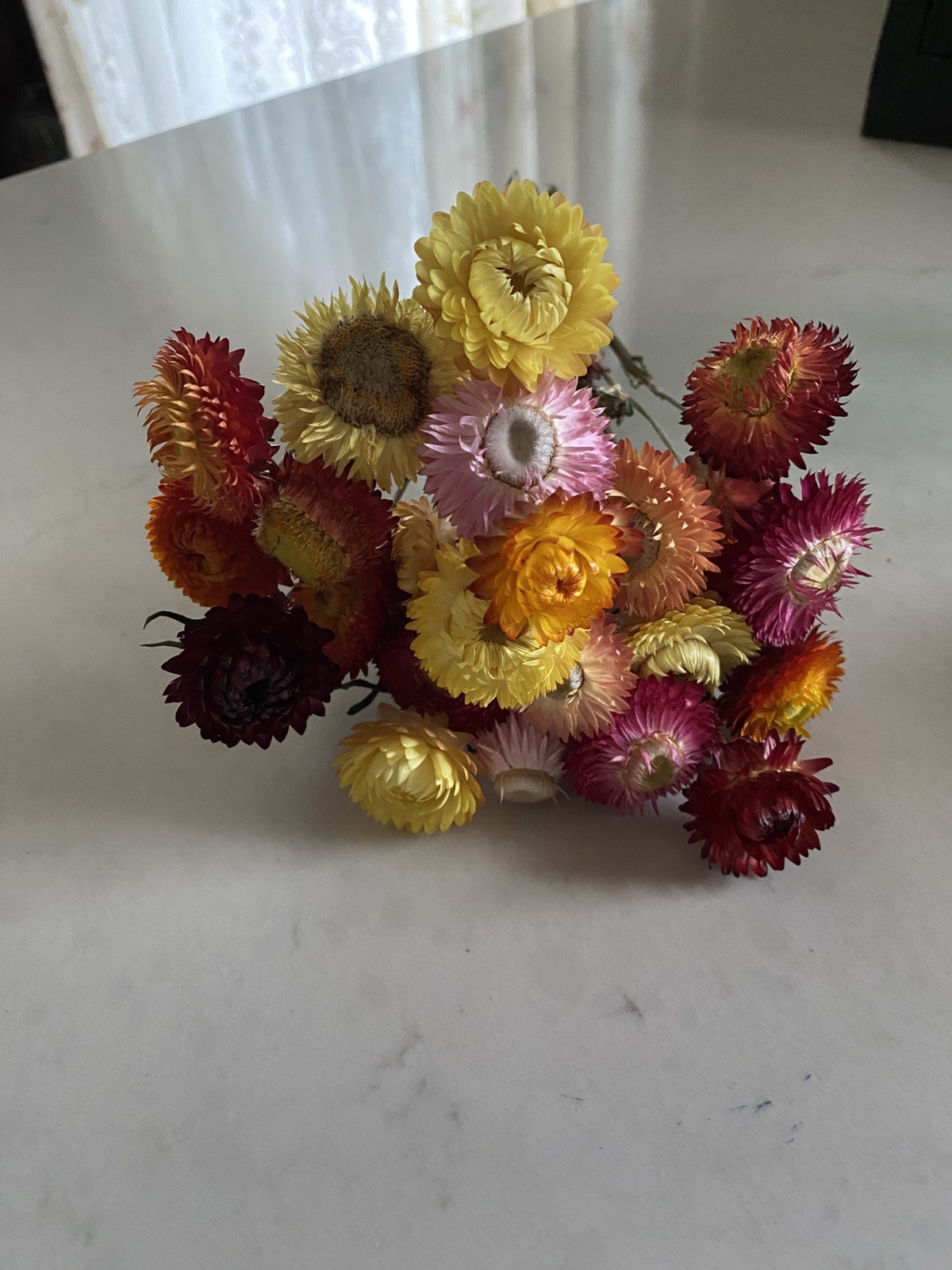 Beautiful STRAWFLOWERS Assorted Bunch BOUQUET Bundle DRIED Flowers USA Auc#4