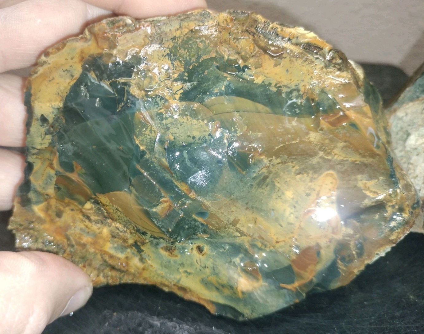 8.7LB ORBS Blue Mountain Picture Jasper Rough 6pc Lot #27