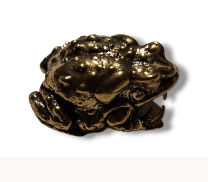 Bufo alvarius Sonoran Desert Toad Alter Piece ~ brass/small BUFO MEDICINE