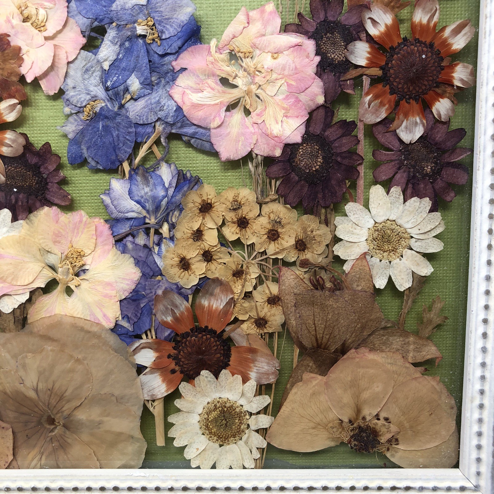 Framed Pressed Flowers Distressed Frame 12.5" x 10.5" Cottagecore Country Chic