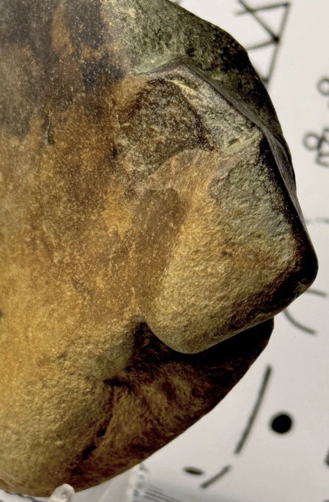 Native American Indian Authentic Artifact Stone Carved Effigy, 1 lb 3 oz • VA