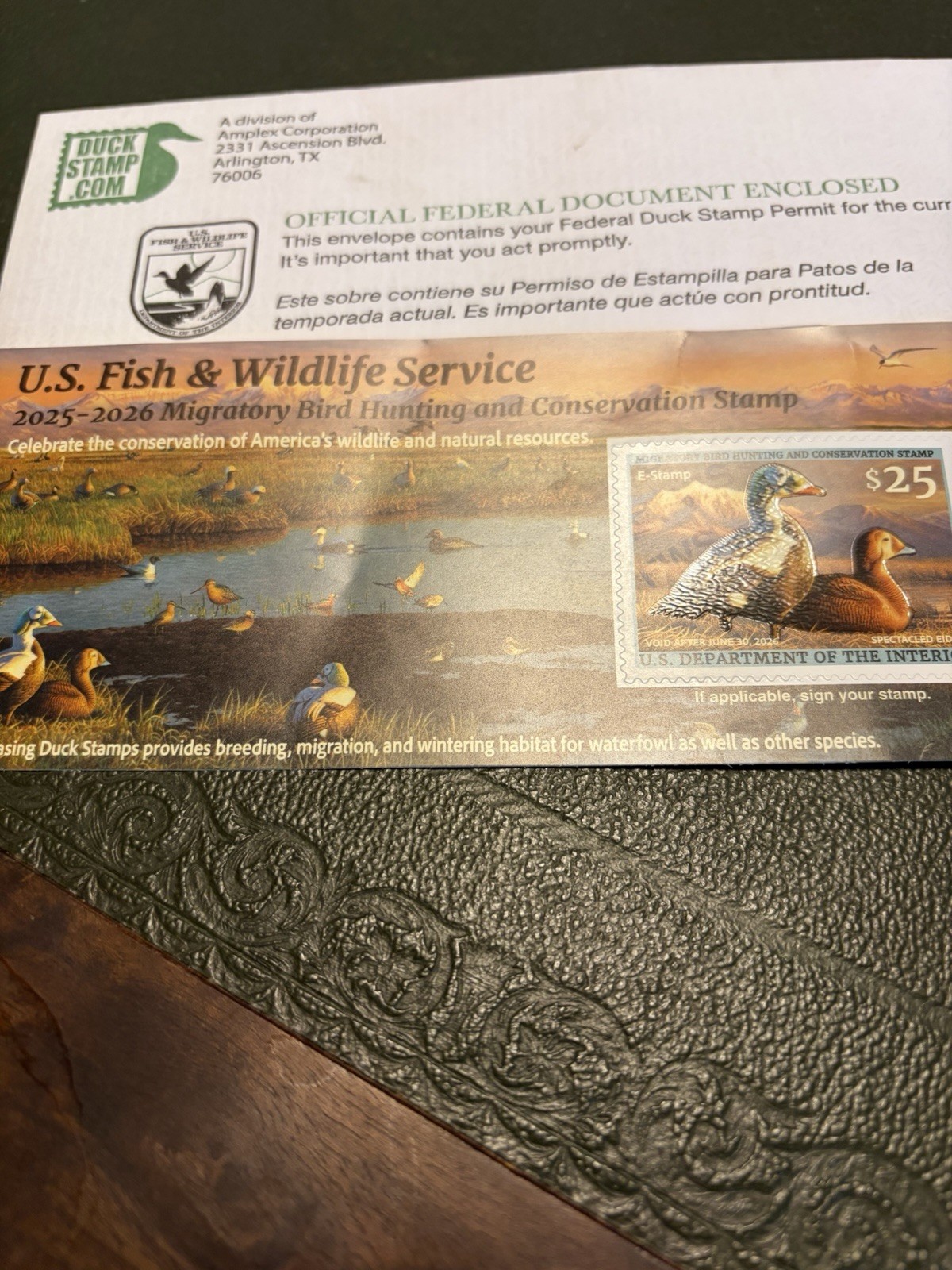 NEW Federal Duck Stamp 2025-2026 Spectacled Eider