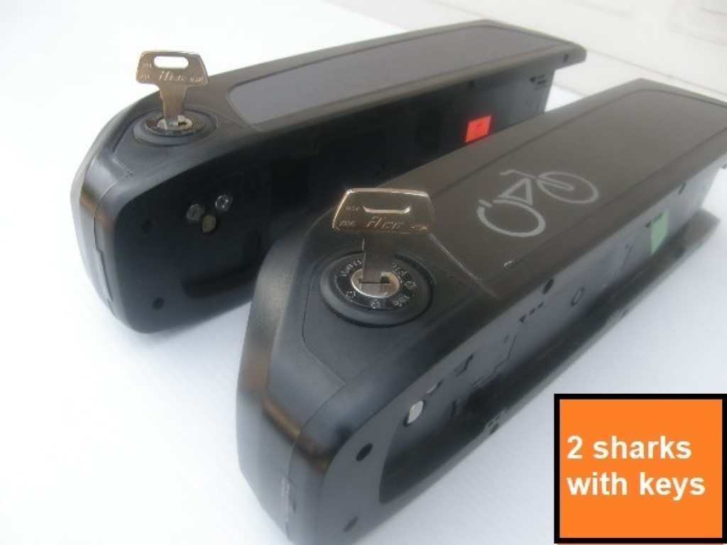 🔑RAD POWER BIKES 2 Universal Battery Keys $9.95 Free USPS Shipping w/track 🔑