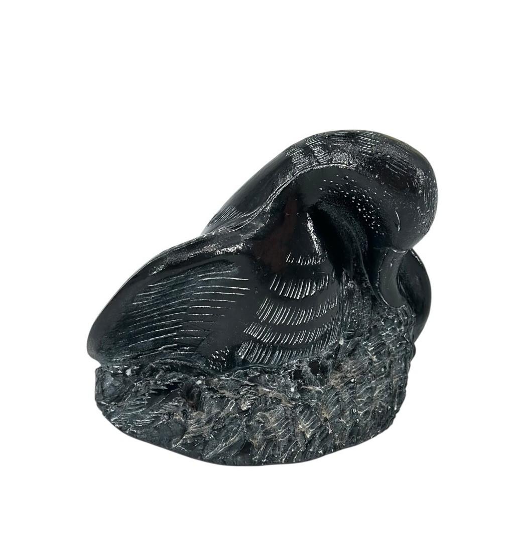 Vintage Canada Aardvark Swan Canadian Goose Duck Hand Carved Soapstone Black