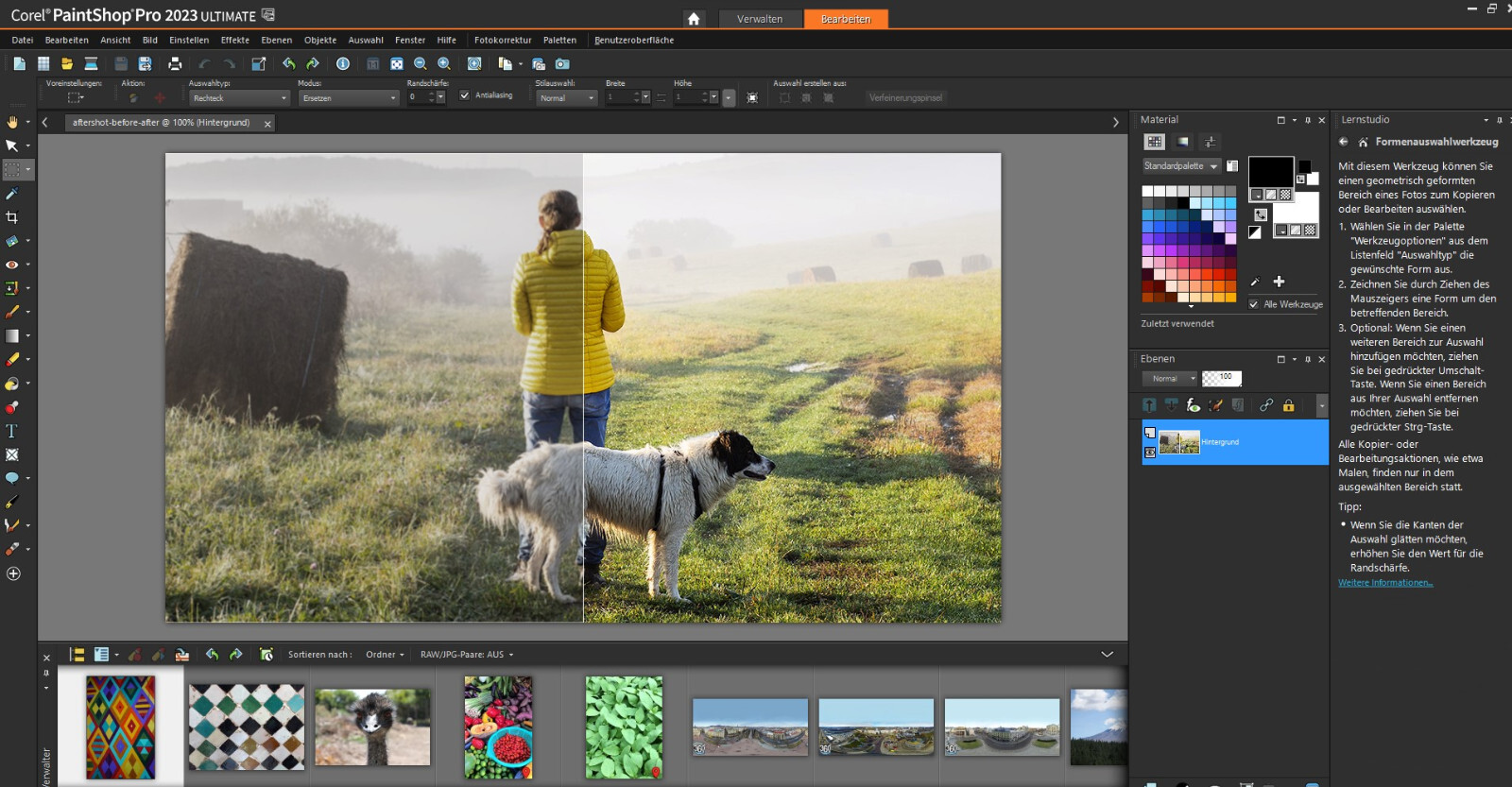 Corel PaintShop Pro 2023 Ultimate Vollversion 2 PC Dauerlizenz Download NEU