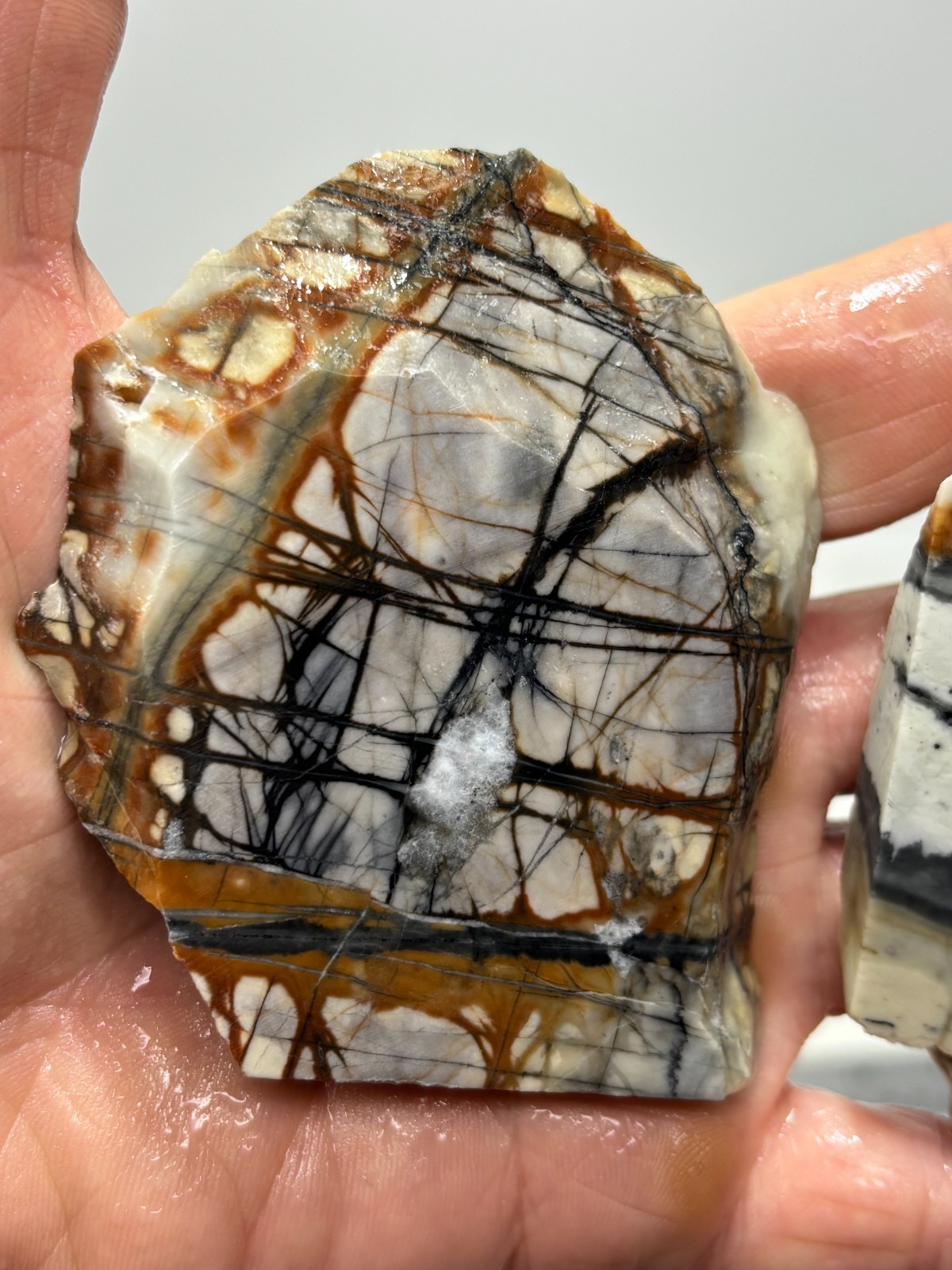 Picasso Marble (Jasper) Slabs Cabbing Lapidary Utah Combo Ship Avail