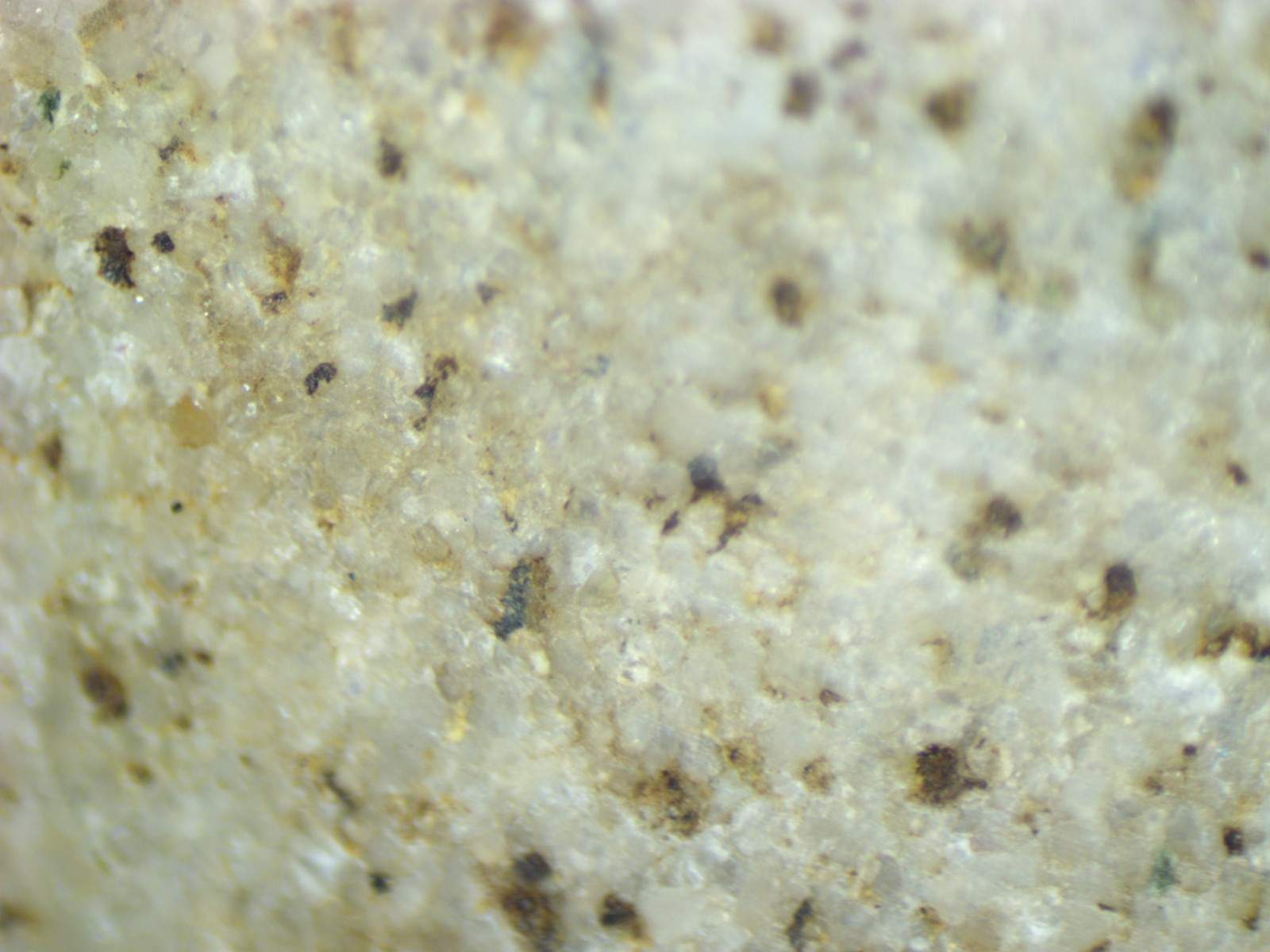 Gilcrease Double Grooved 3 5/8" Plummet from Arkansas Breckinridge CoA Arrowhead