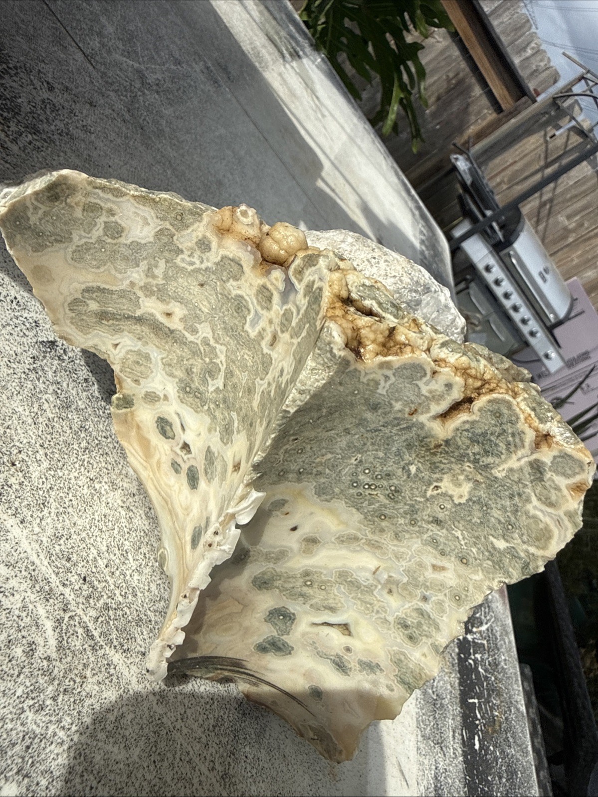 Carved Ruby Buhda On Ocean Jasper Faced Rough, Incredible Orbs Red Crystals 6”