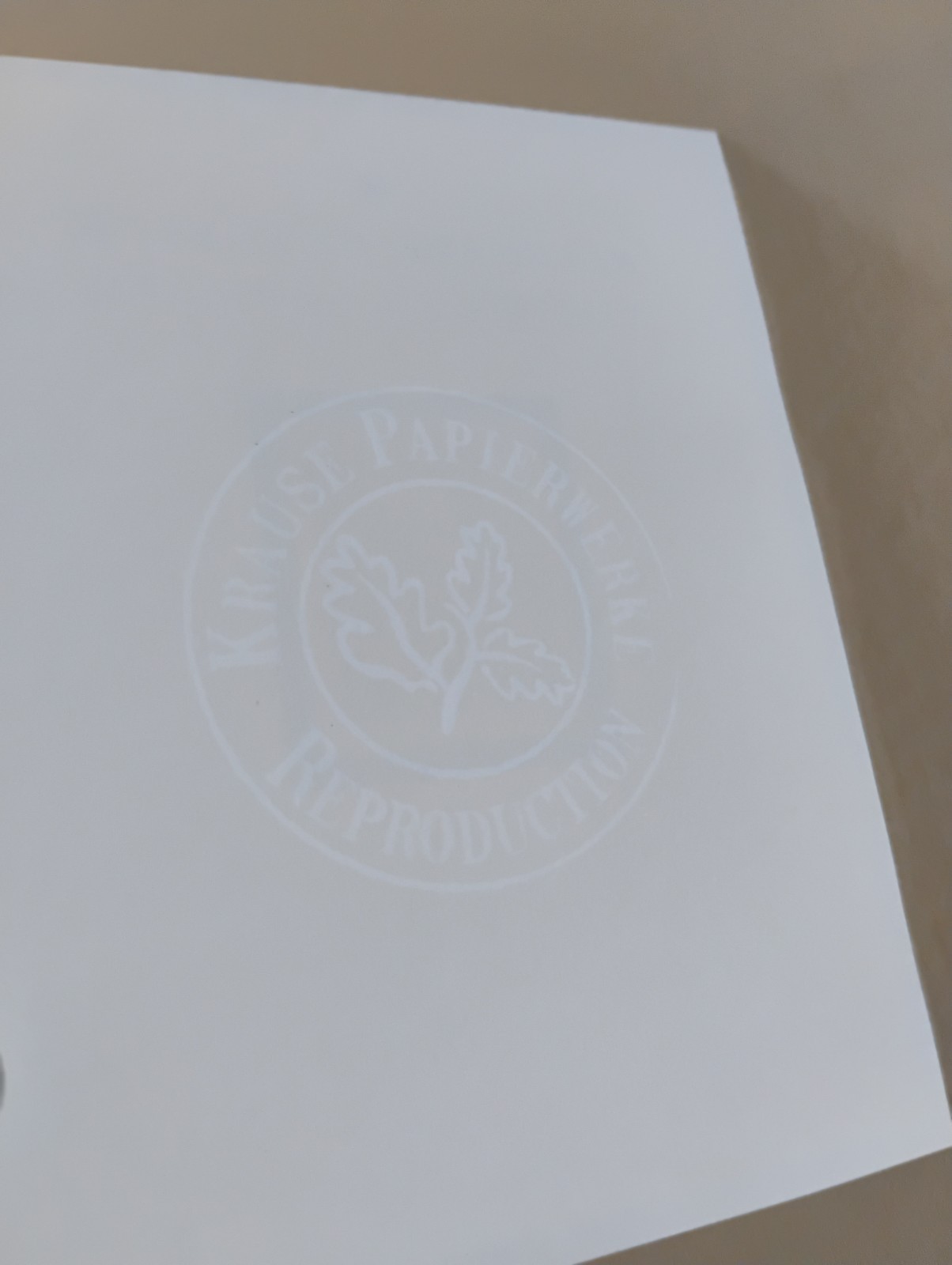 RARE GERMAN DEATH MASK BOOK WW2 PROPAGANDA THIRD REICH WWII ROSEMARIE CLAUSEN