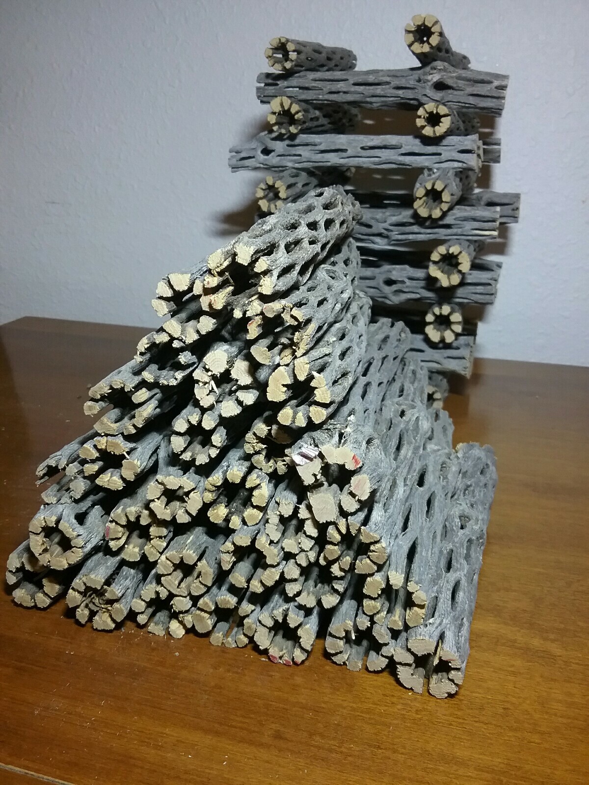 20 pcs 6" inch CHOLLA logs | Organic Cactus Wood | Shrimp Aquarium Decor | NICE!