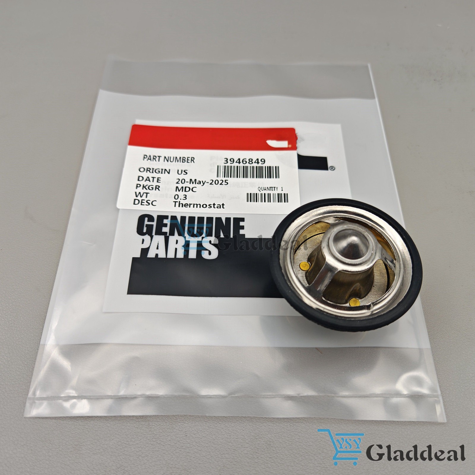 New Engine Coolant Thermostat Fits Cummins 3946849