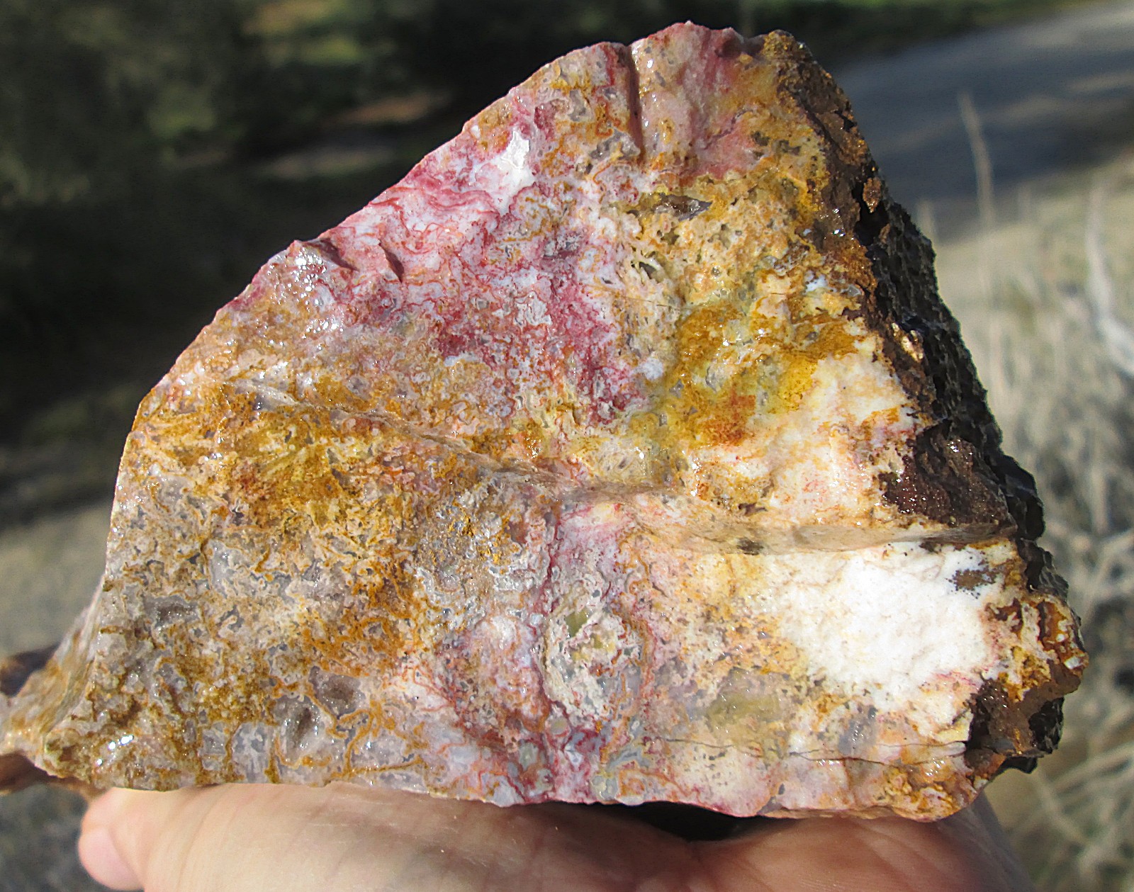 AGUA NUEVA MOSS AGATE ROUGH ~ 5lbs 12.3ozs