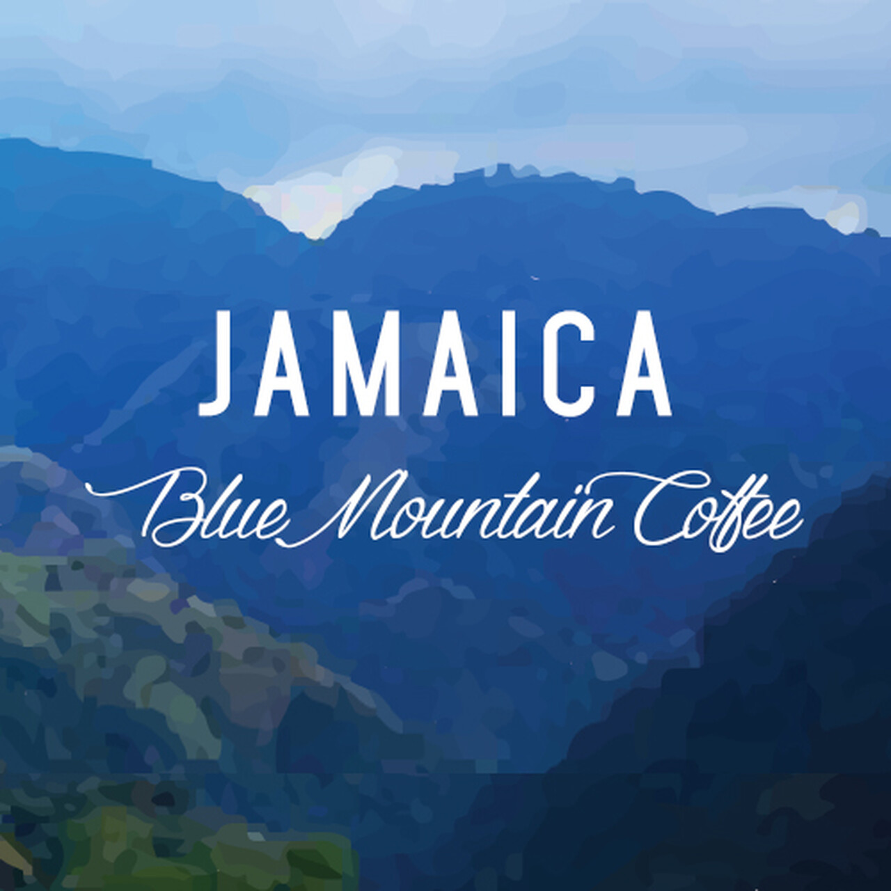 Jamaican Blue Mountain Coffee Beans Peaberry Dark Roasted 10 Pounds 1 Pound Bags