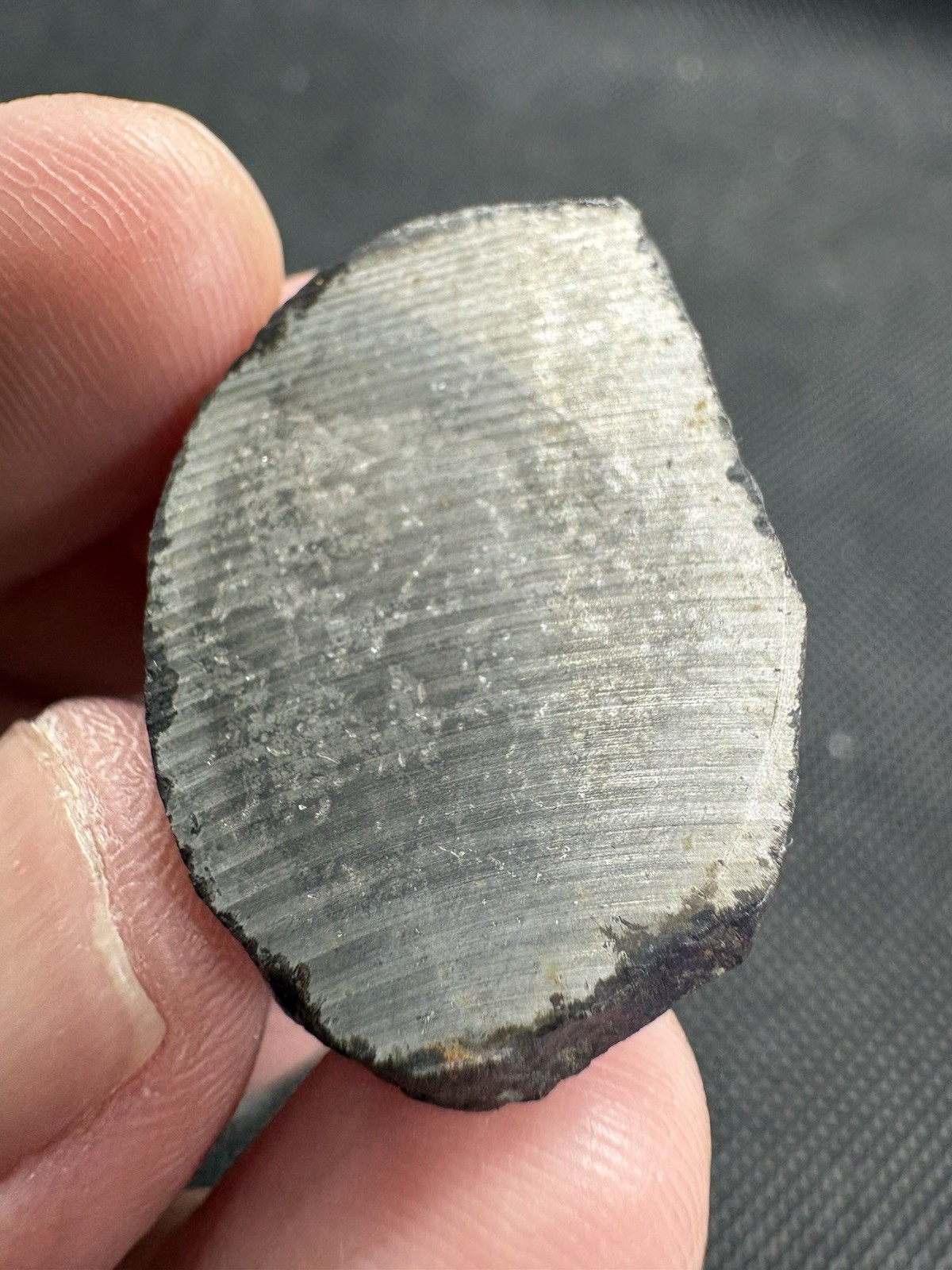 8.0g NWA 17095 IAB-sLH iron meteorite full slice- rare subtype weird features!