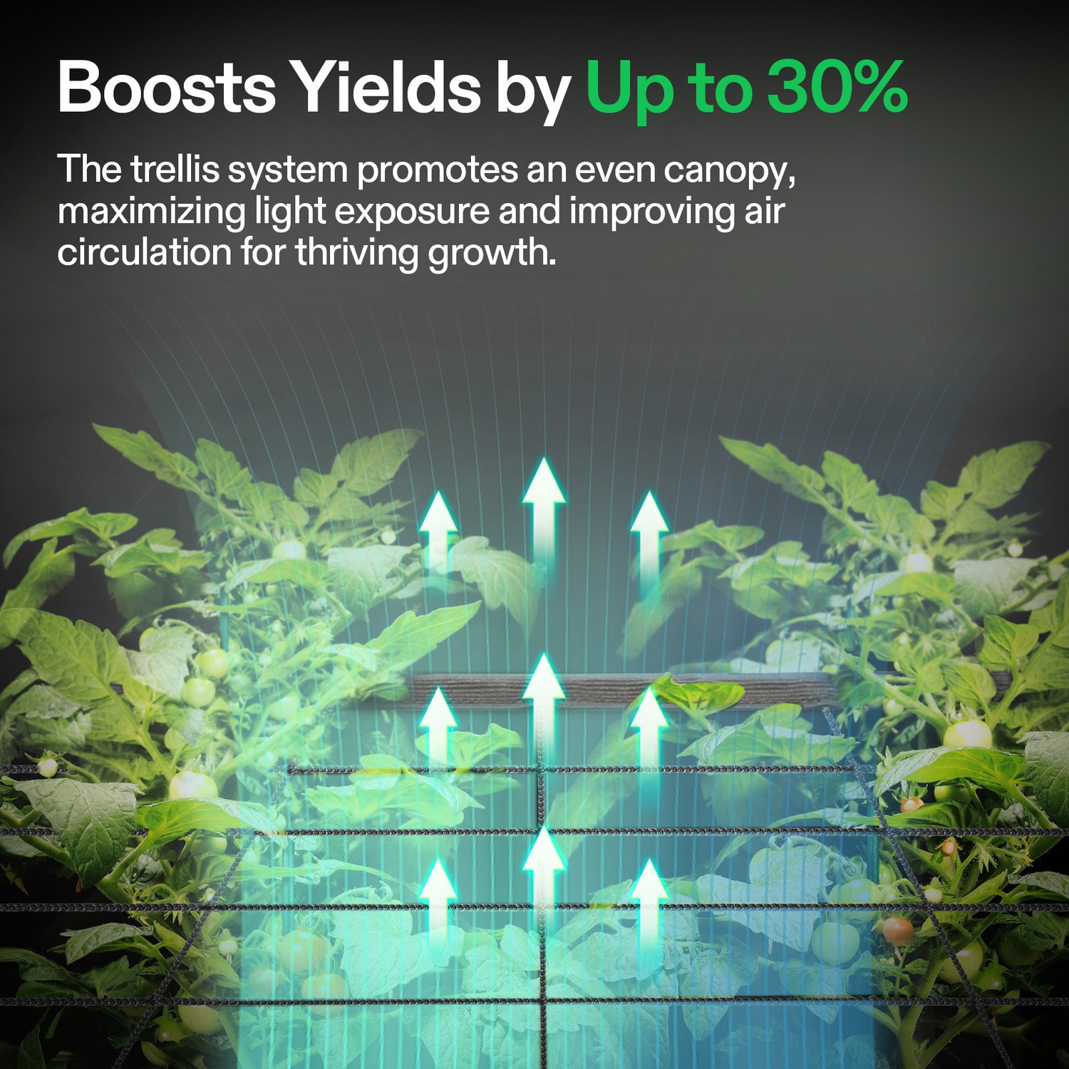 VIVOSUN VGrow Smart Grow Box Tent Kit Accessories New Free Shipping