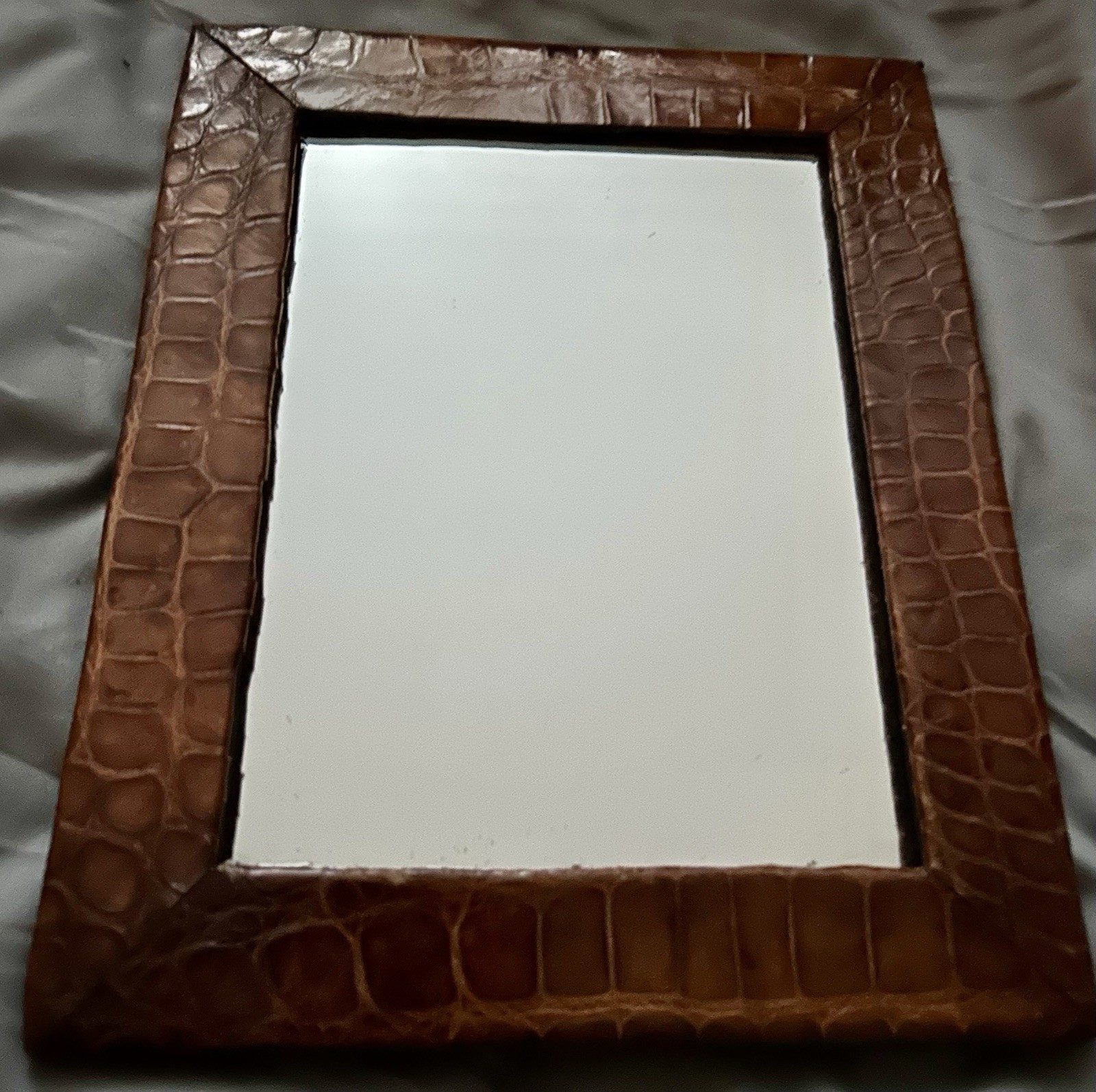 ANTIQUE CROCODILE Skin Picture Frame with Mirror BEAUTIFUL 8.5”x 10.75” GENUINE