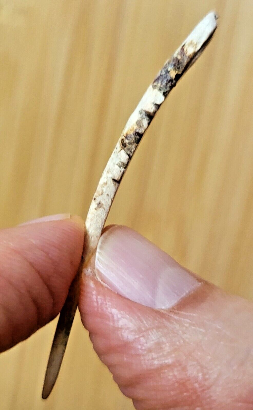 AUTHENTIC -- c. 2000 YEAR OLD PRE-COLUMBIAN COLIMA CARVED SHELL PENDANT - MEXICO