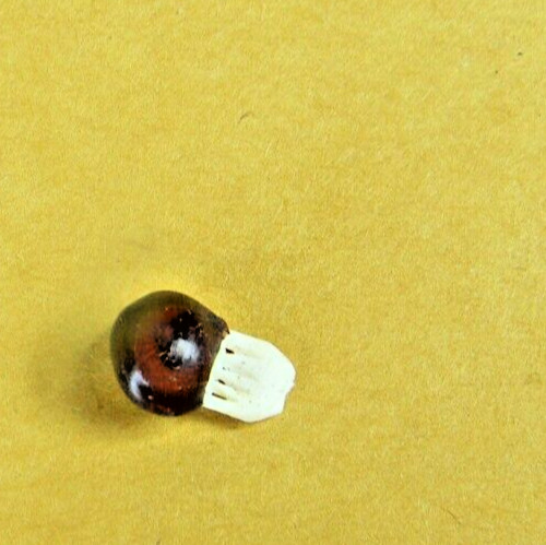 Lot of 4 - Lucky Elephant Seed Bean 6 Tiny "Carved" Elephants Inside Vintage