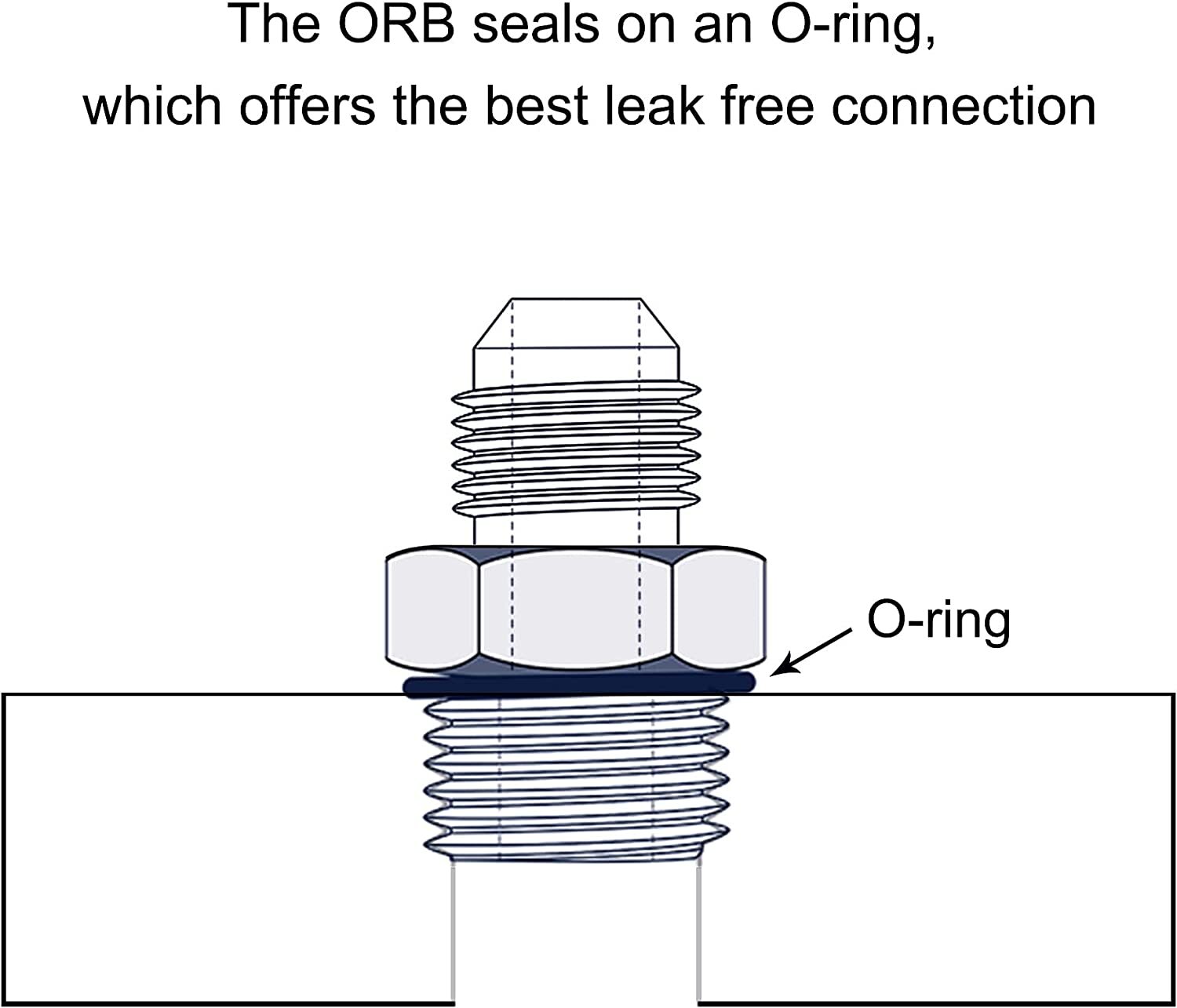 ORB O-ring AN10 10AN to AN10 10AN Male Adapter Fitting Black Pack of 2