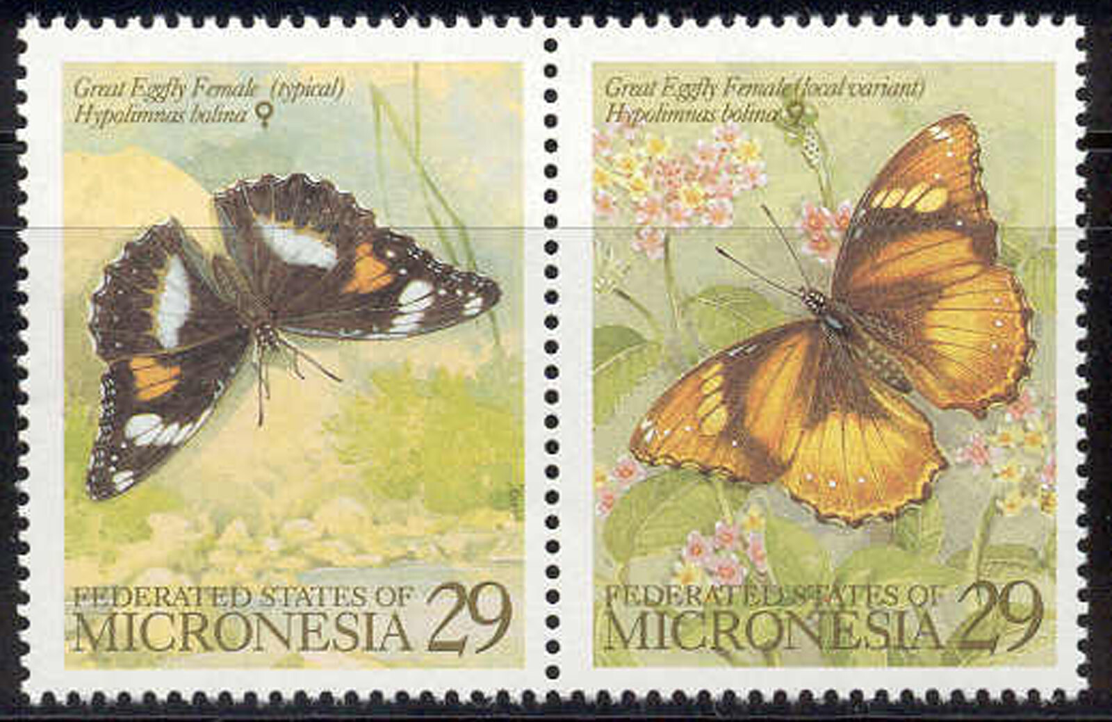Micronesia - MNH 1993 Butterfly set of 2 #182-3 cv 3.50
