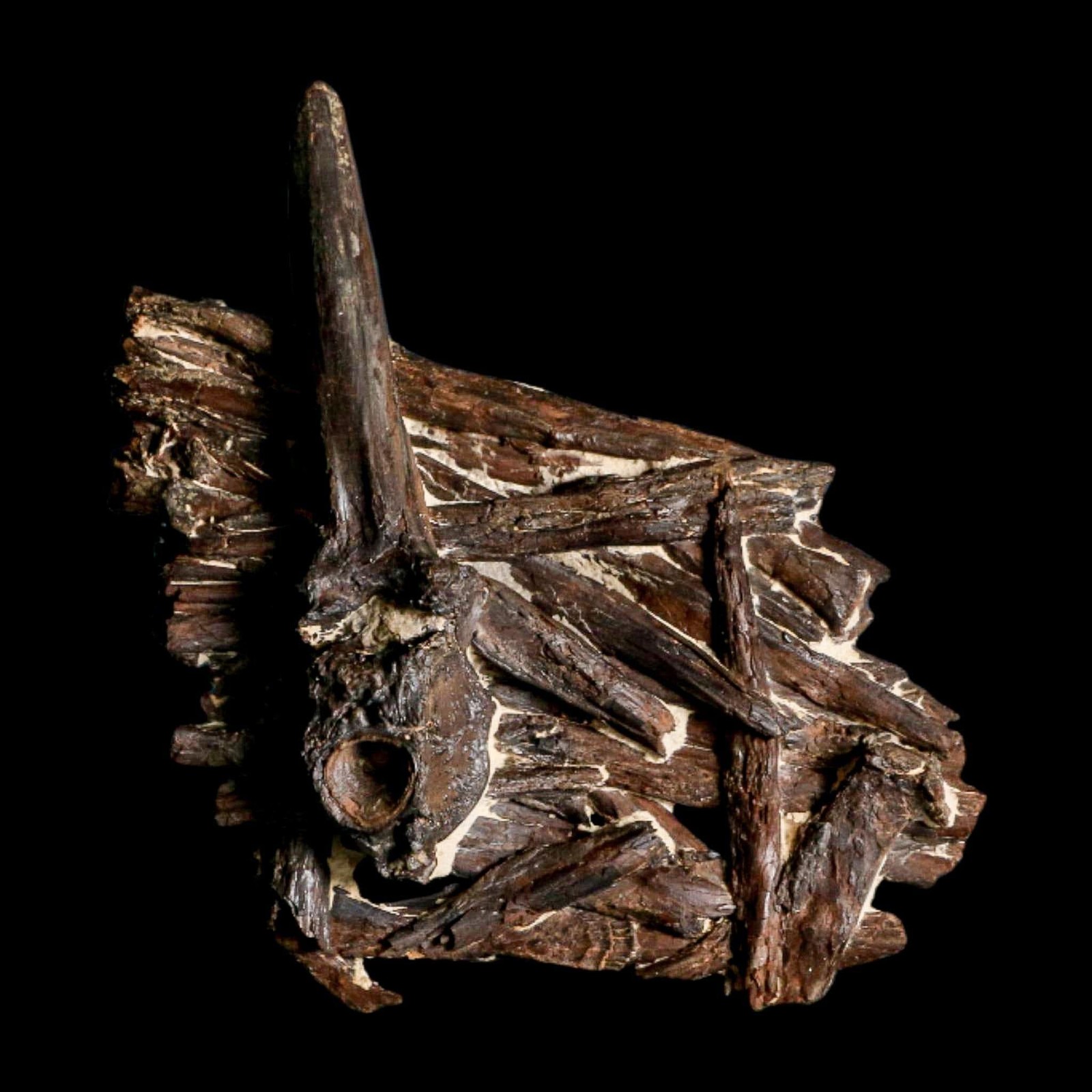 3.1" Unknown Fossil Vertebrae And Bones in Matrix Late Cretaceous Era Niobrara