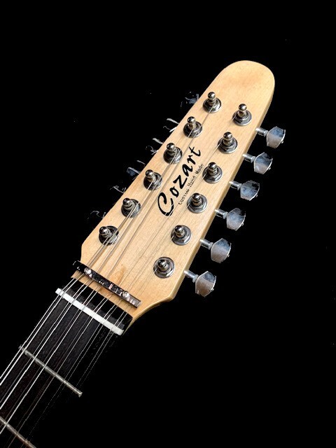 NEW STRAT STYLE 12 STRING SEMI-HOLLOW THINLINE NATURAL FINISH ELECTRIC GUITAR