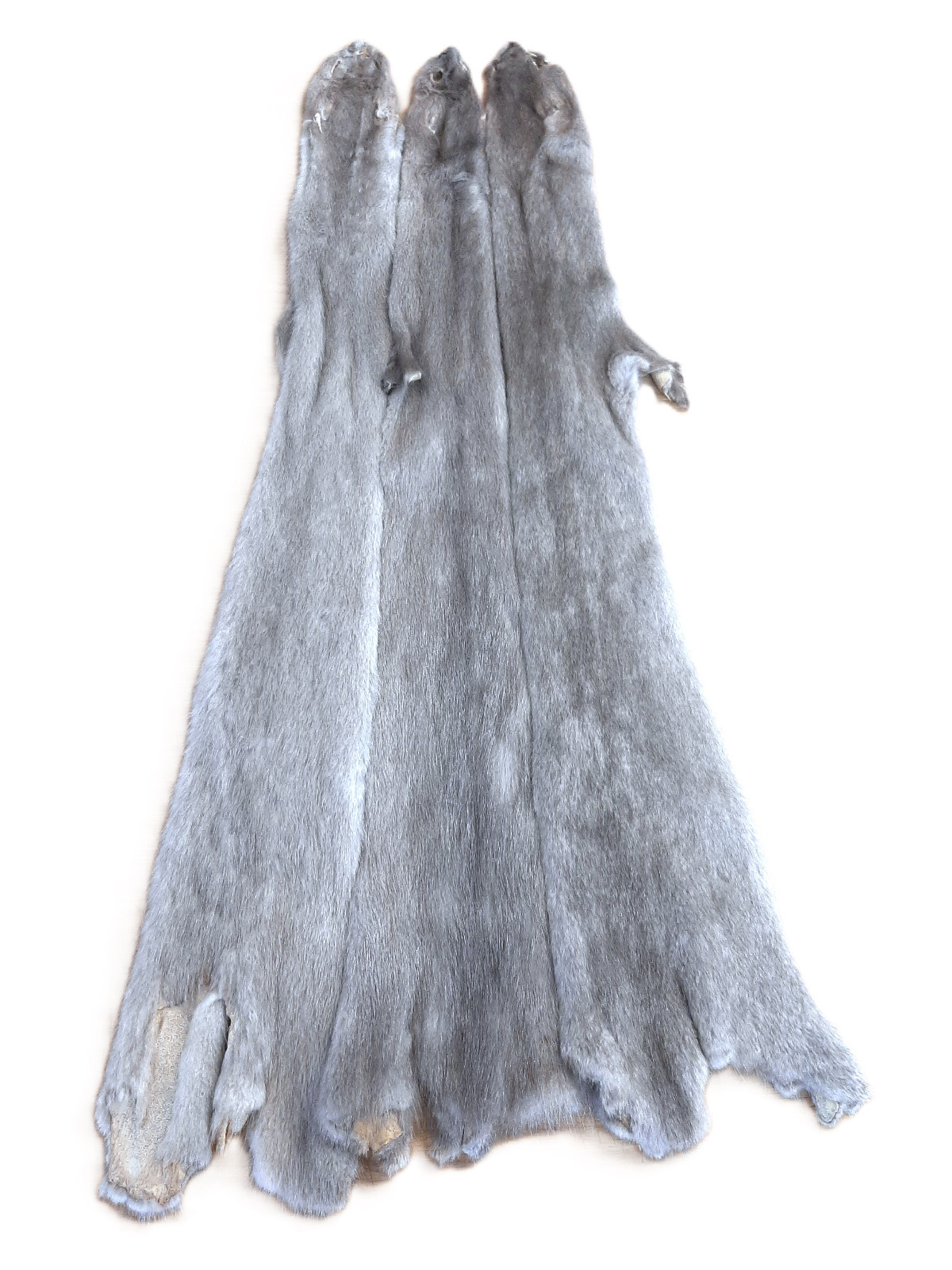 Ranched Mink Pelt, Silver Blue, GORGEOUS