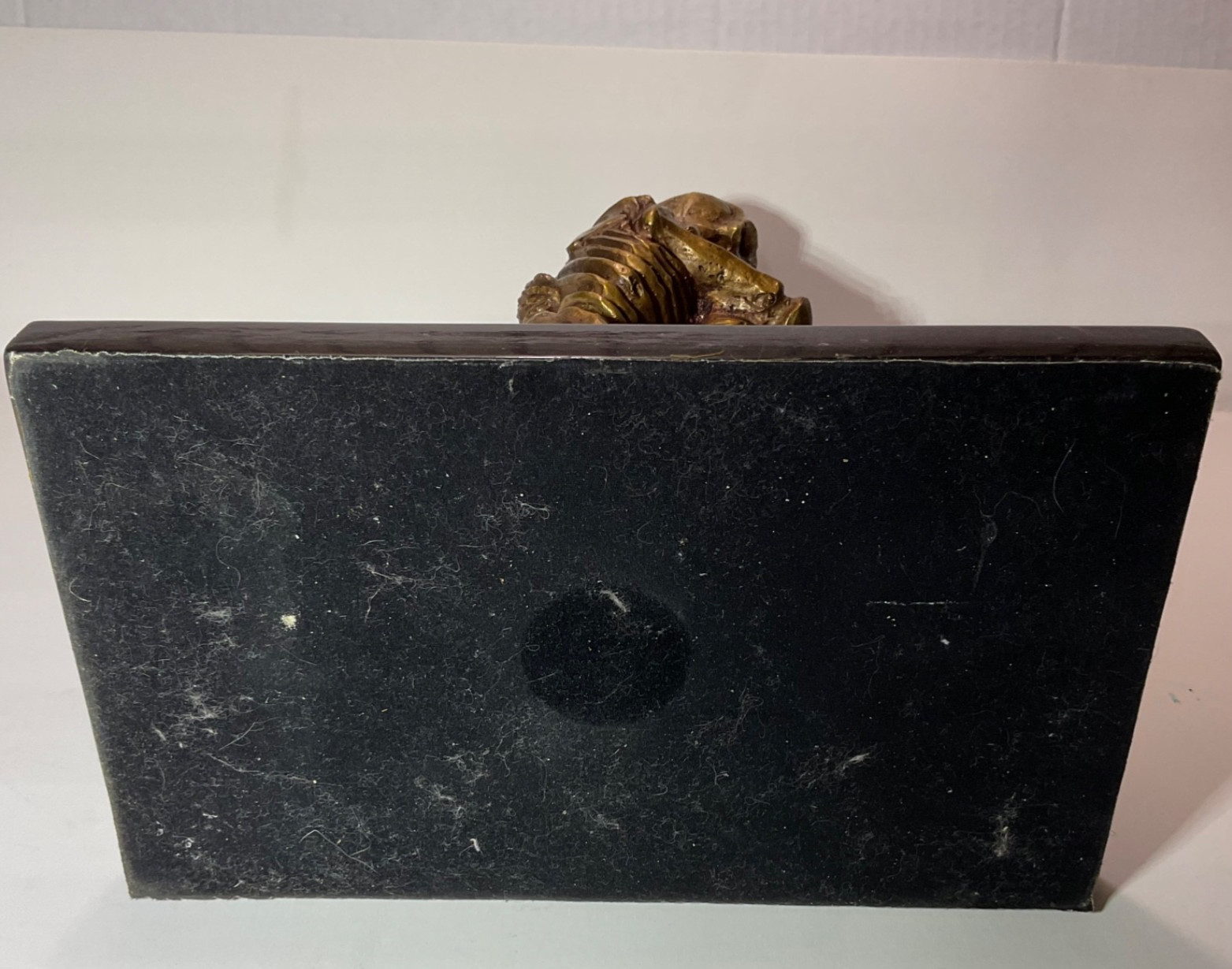 Love Never Dies Gothic Skeleton Marble Cinco de Mayo Decor