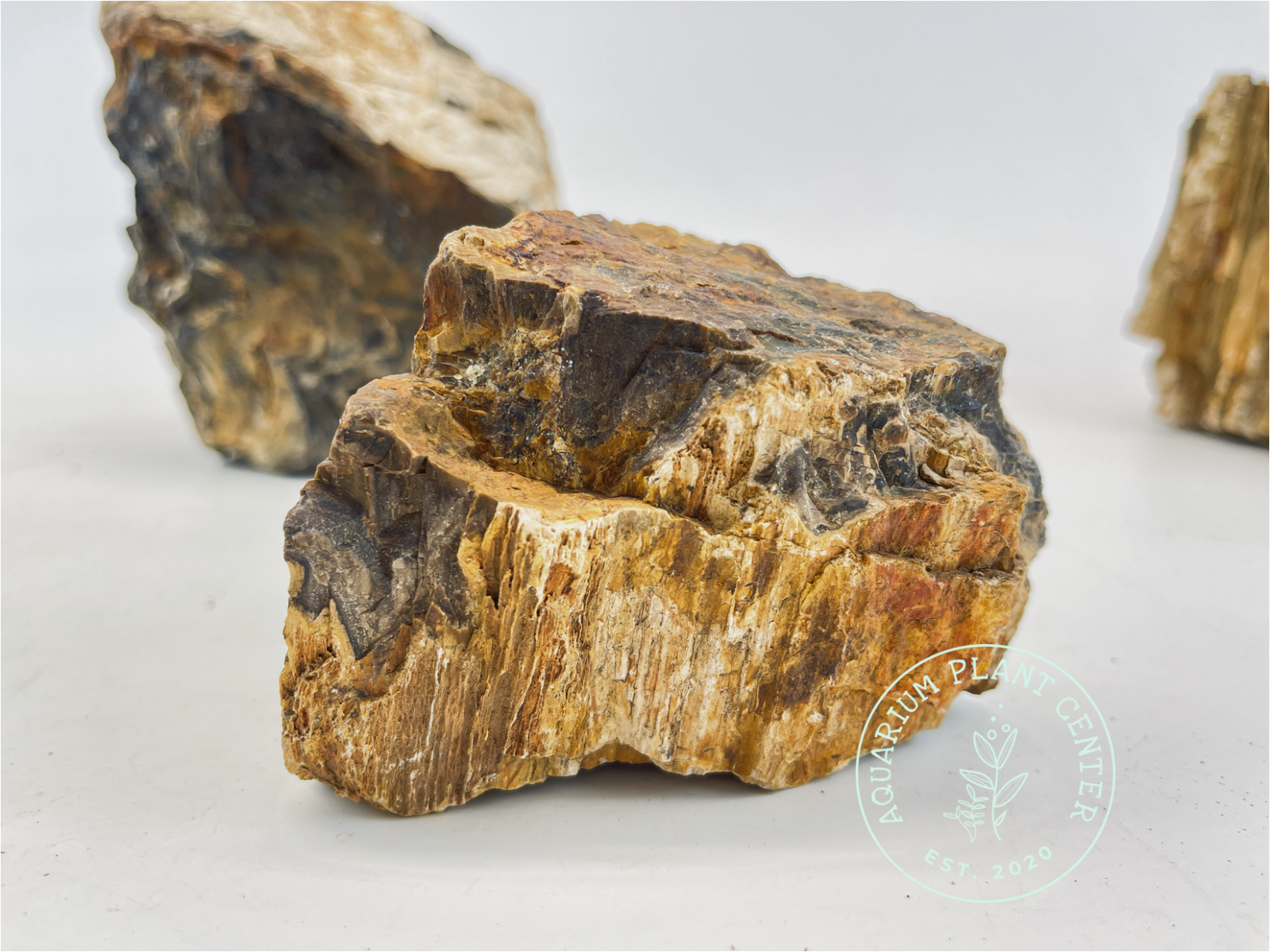 Petrified Wood Stone / Planted Aquarium / Decoration / Hardscape / Aquarium