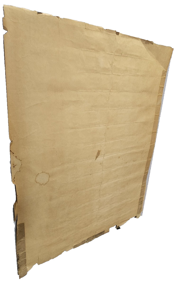 Vintage Janis Joplin Black & White Poster Altered Hand Painted Blacklight Paint