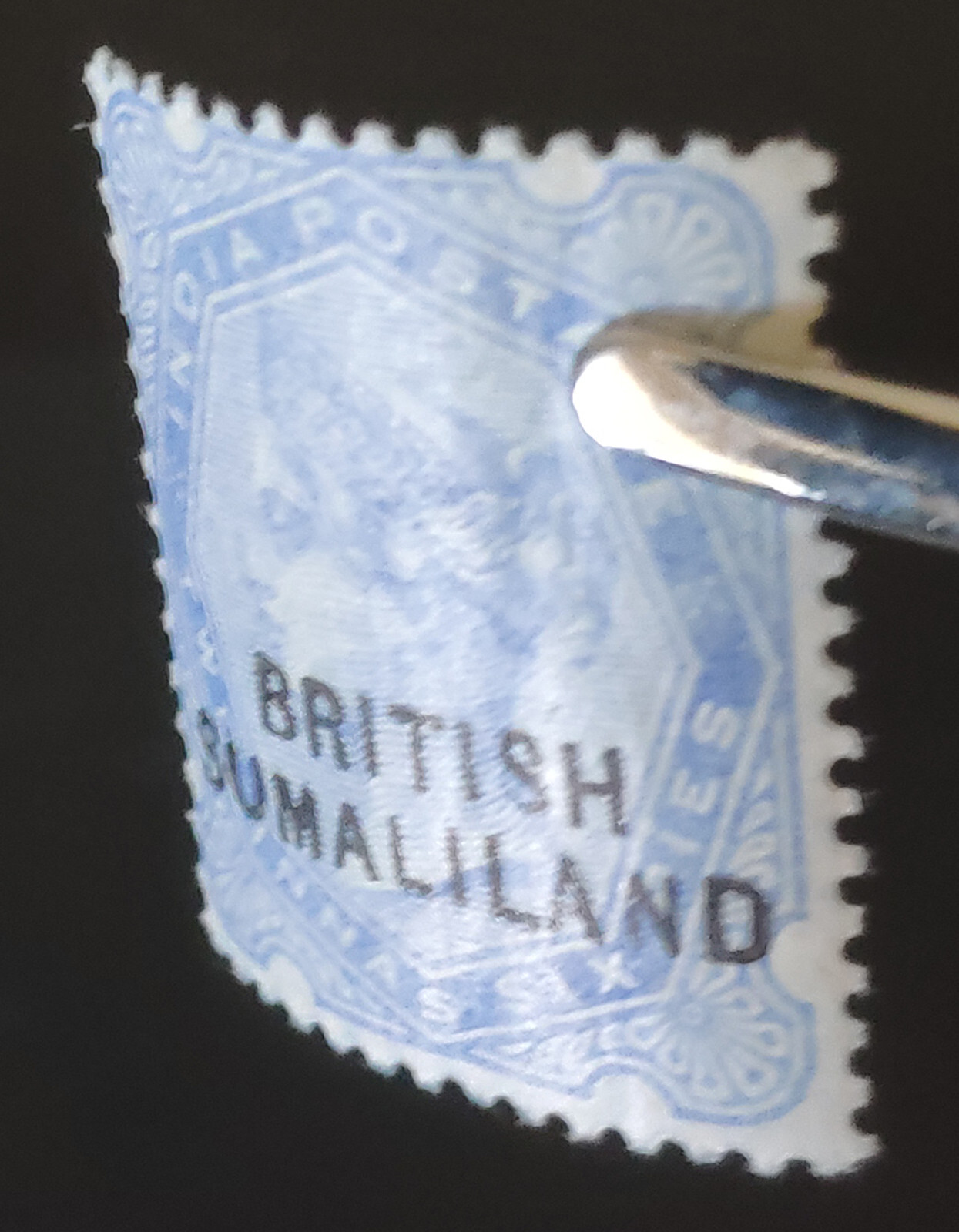 BRITISH SOMALILAND. QV. 1903. RARE ERROR! 2½a with "SUMALILAND" ovpt MLH. SG 18b