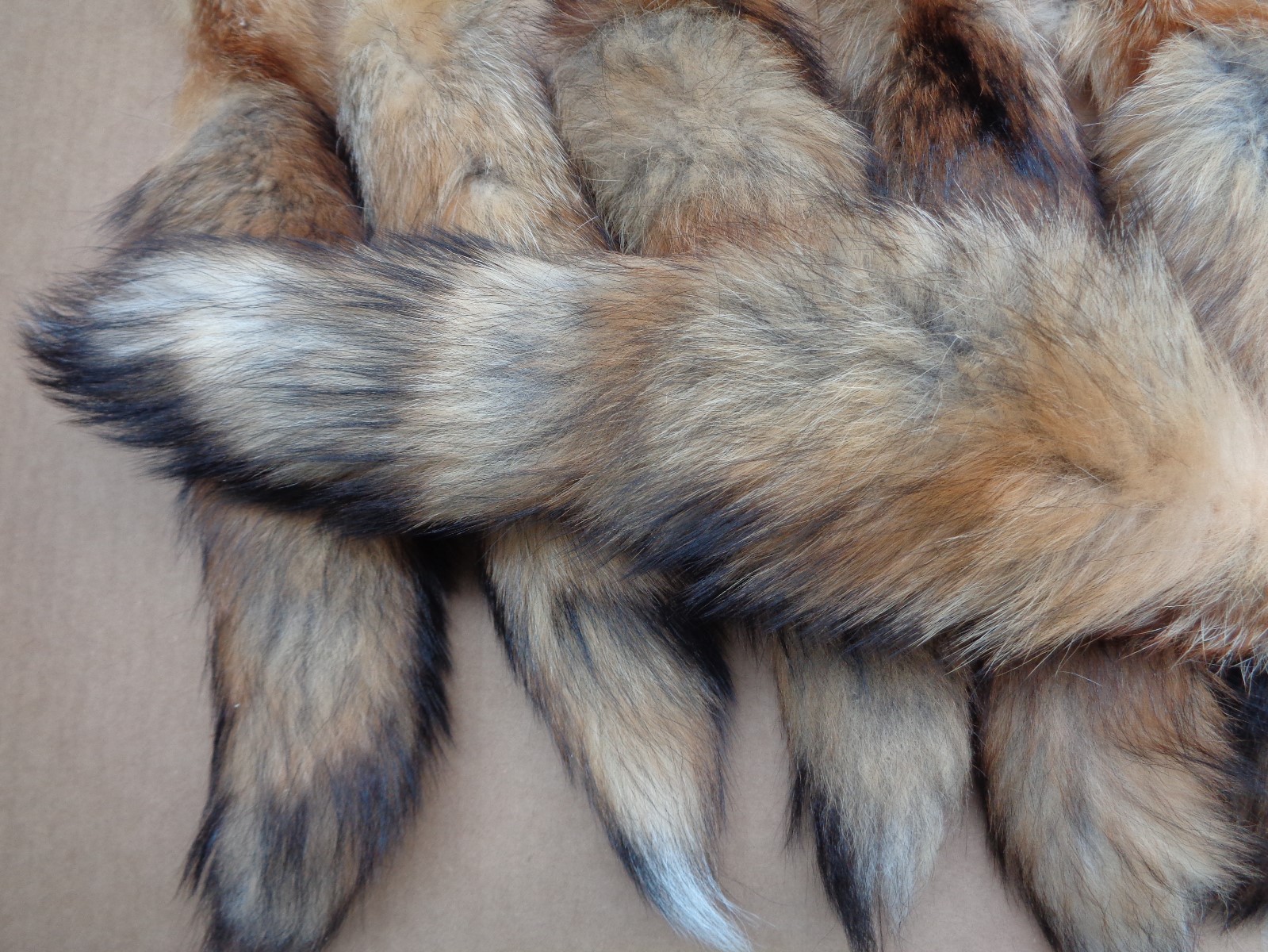 #1 Large Tanned Red Fox Tails/Fur/Crafts/Real Fur Tails/Harley parts/Purse