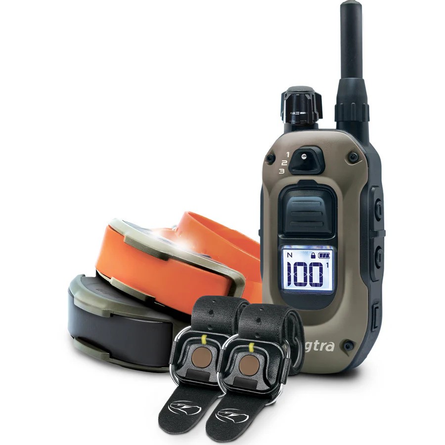 Dogtra 1902X 2 Dog Trainer + HANDSFREE PLUS Square, 3/4 Mile Range, Boost and XP