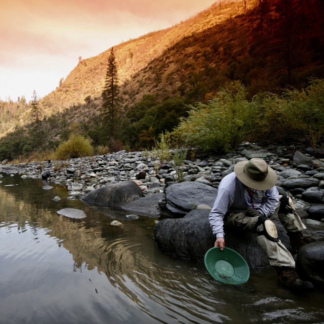 GOLD Paydirt Guaranteed Unsearched Rich with black sand + Added Gold concentrate