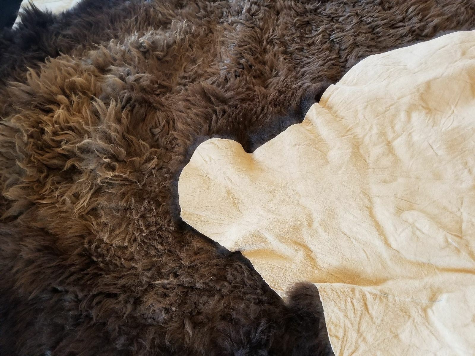 Buffalo Hide Rug, 'Large' Premium Winter Coat Tanned Bison Rug, Made In The USA
