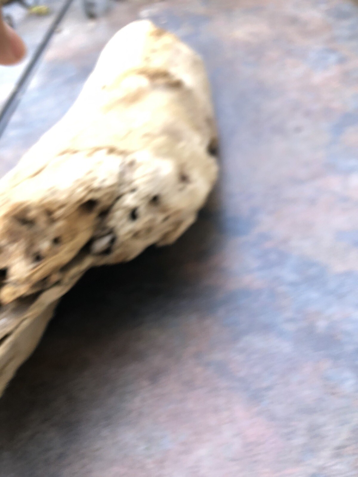 Natural Driftwood for Plants Terrarium Taxidermy Art Projects