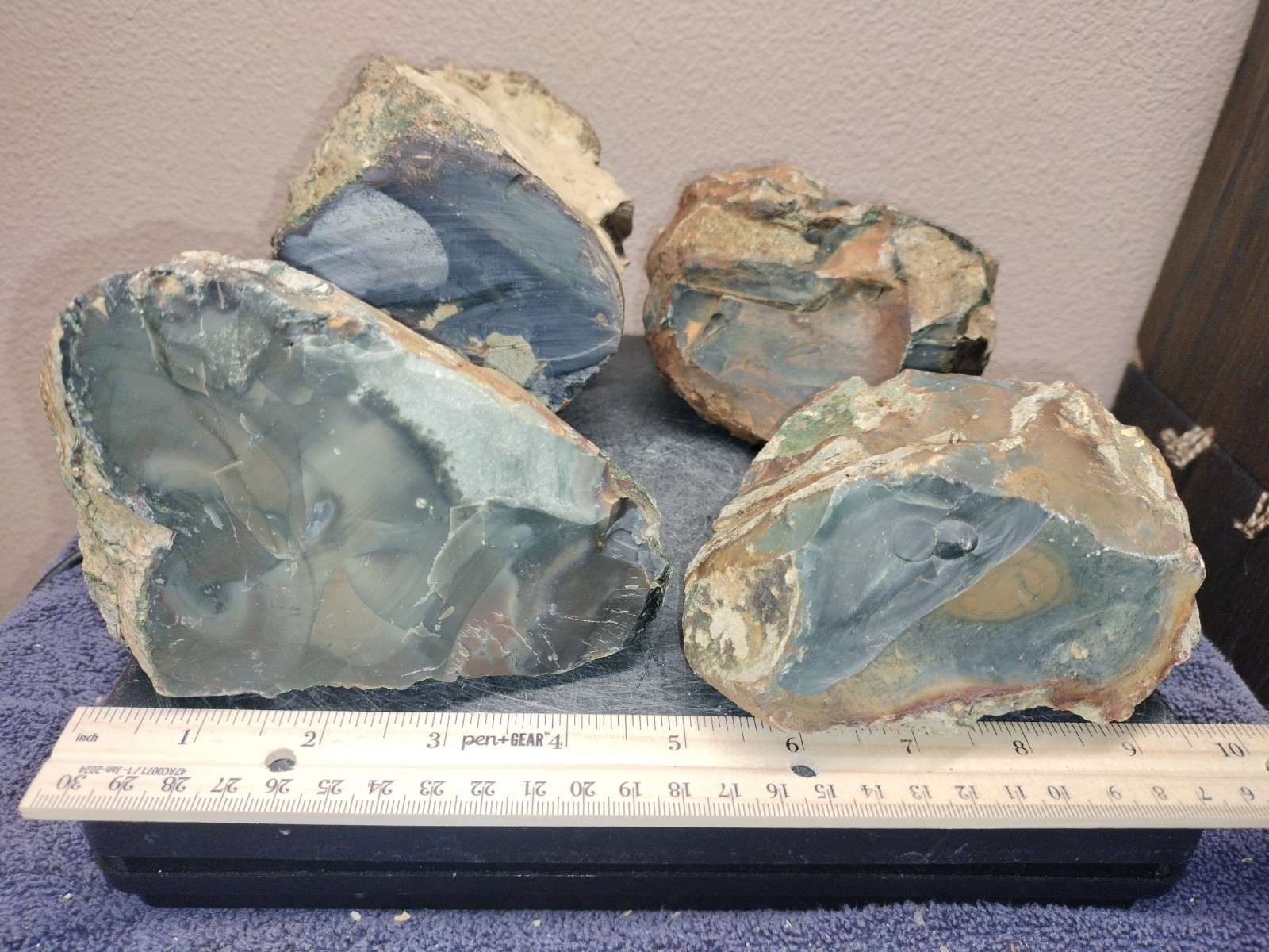 12LB ORBS Blue Mountain Picture of Jasper Rough 4pc Lot #21