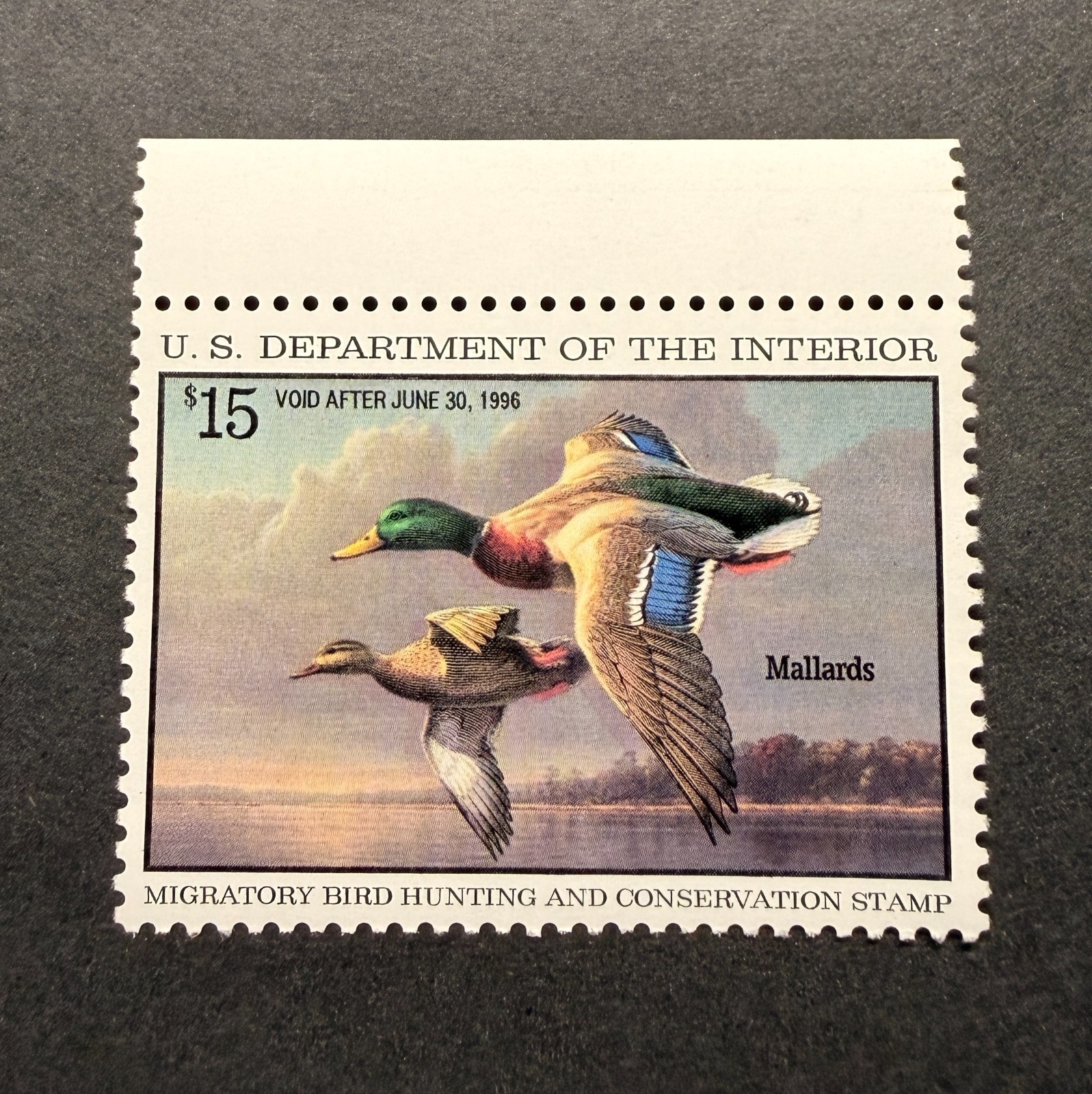 WTDstamps - #RW62 1995 - US Federal Duck Stamp - Mint OG NH