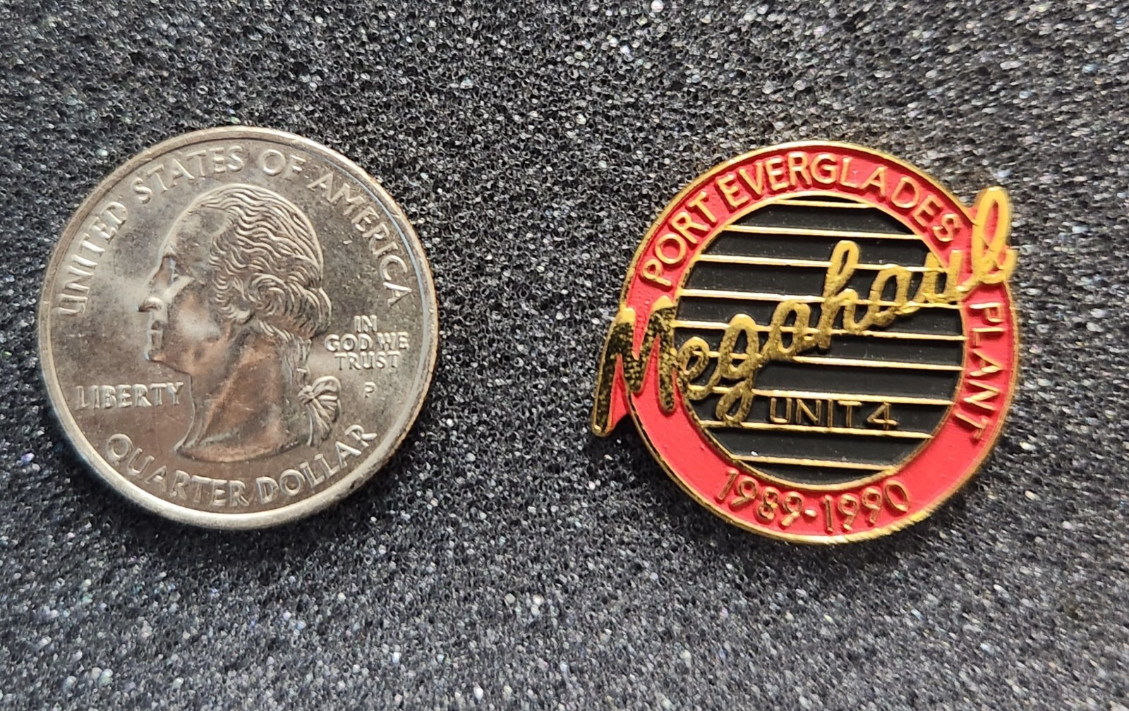 FPL Port Everglades Plant Megahaul  1989-1990 Unit 4 Pin