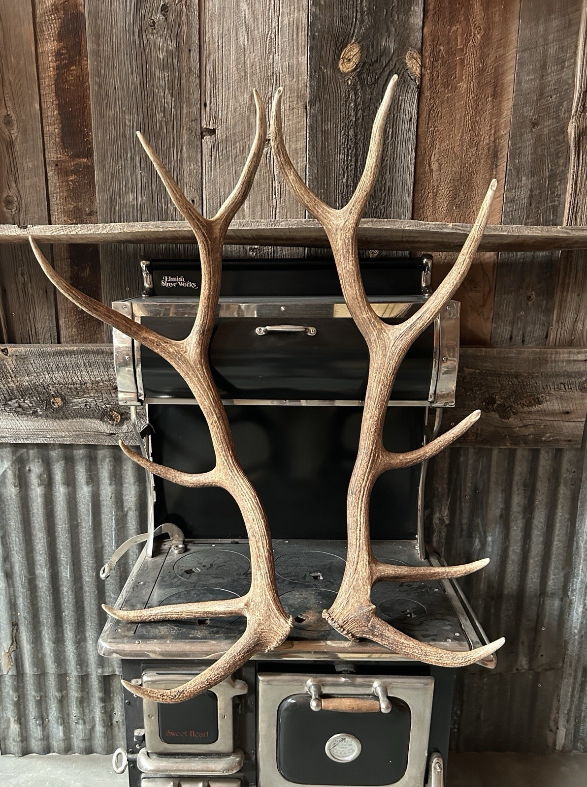 6x6 Set Of Elk Sheds ~ Elk Antlers ~ Cabin Decor