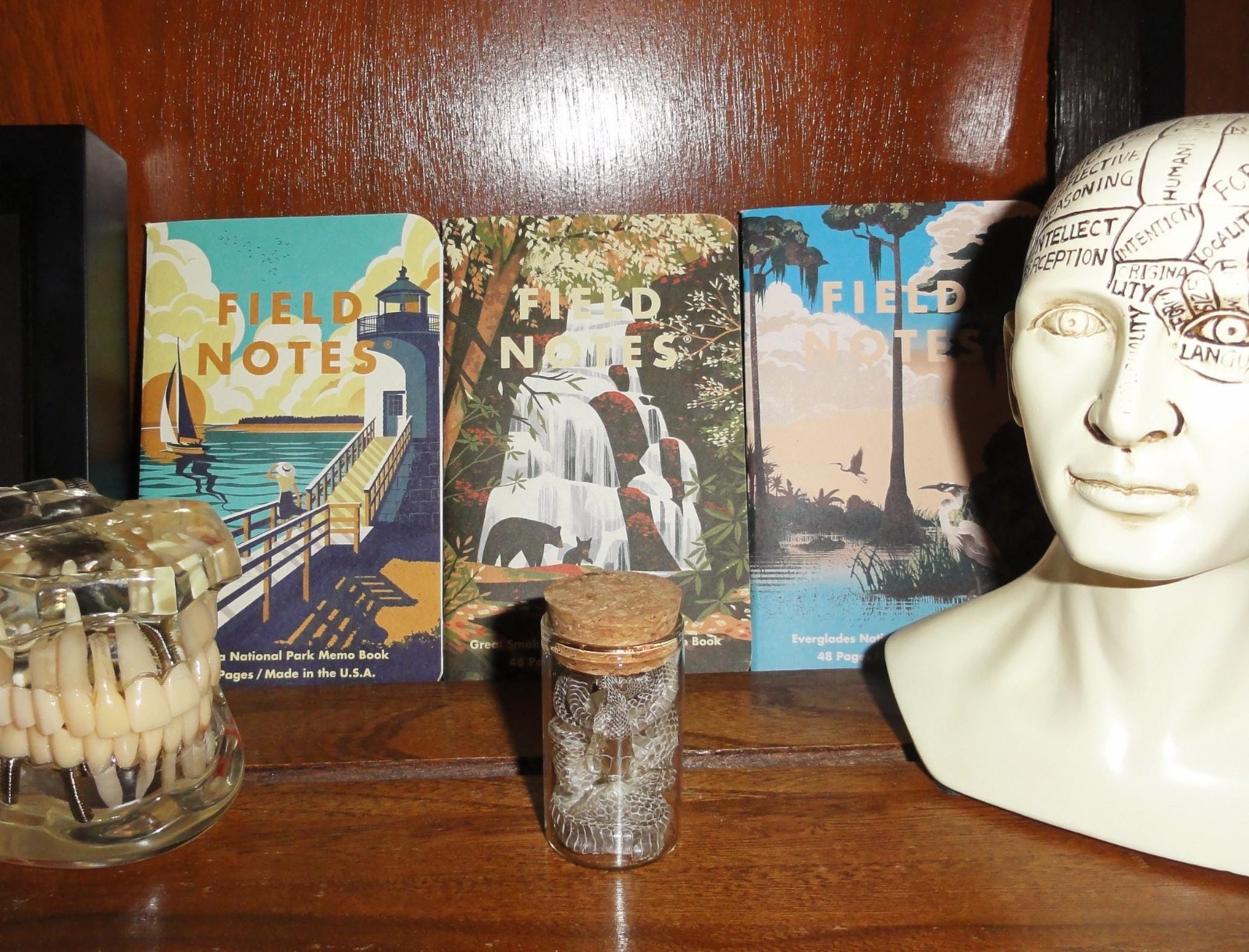 Snake Skin Small Oddity Jar curiosity glass vial reptile goth nature art