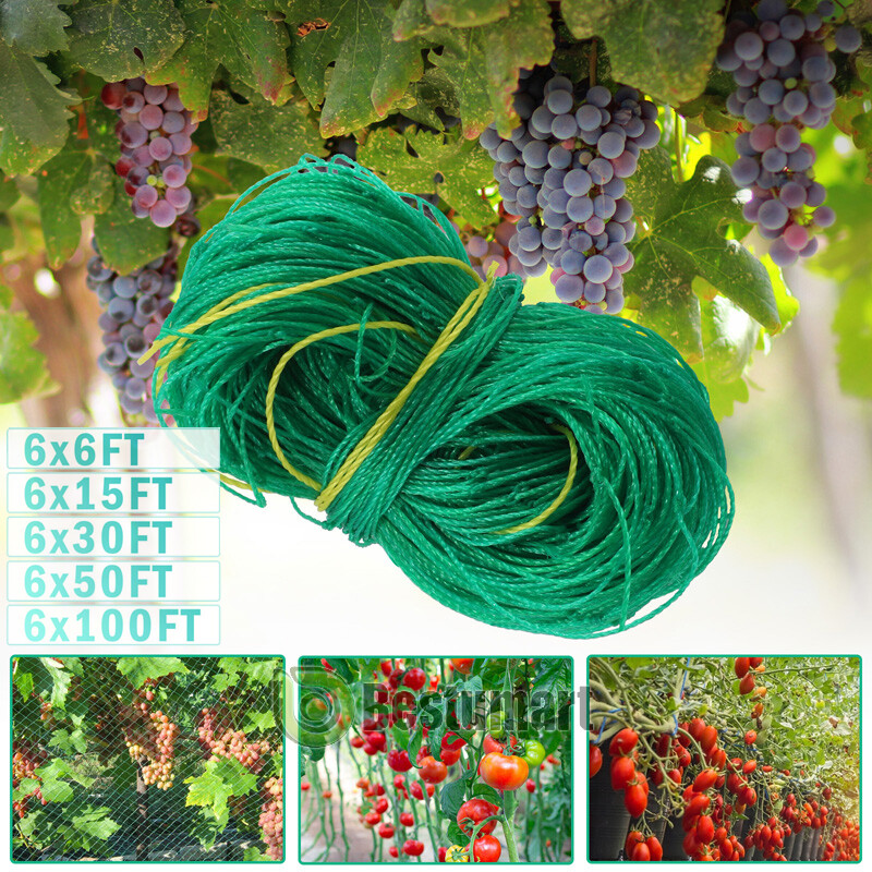 Garden Plant Climbing Net Trellis Netting Mesh Support Fruits Vine Veggie Bean