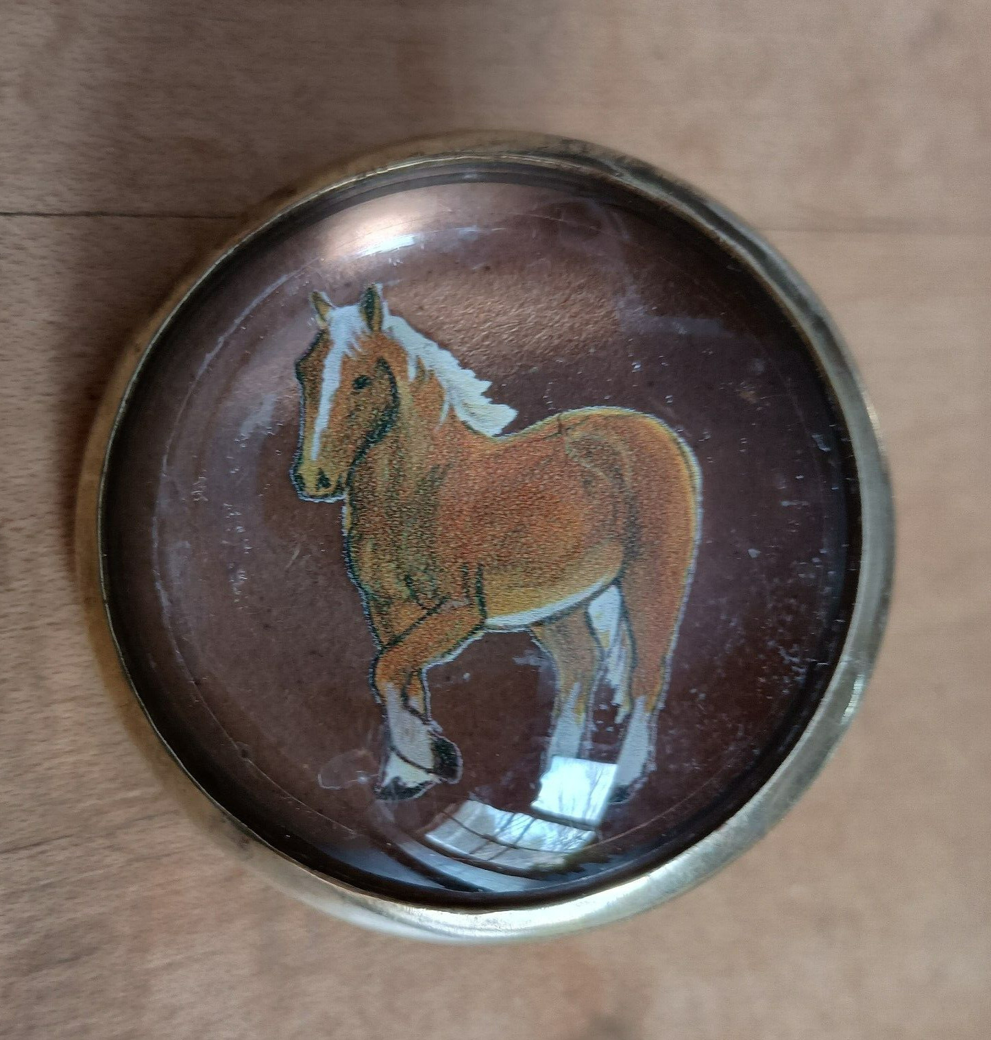 Bridle Loop Rosettes Haflinger for Headstall Harness Glass Dome and Brass